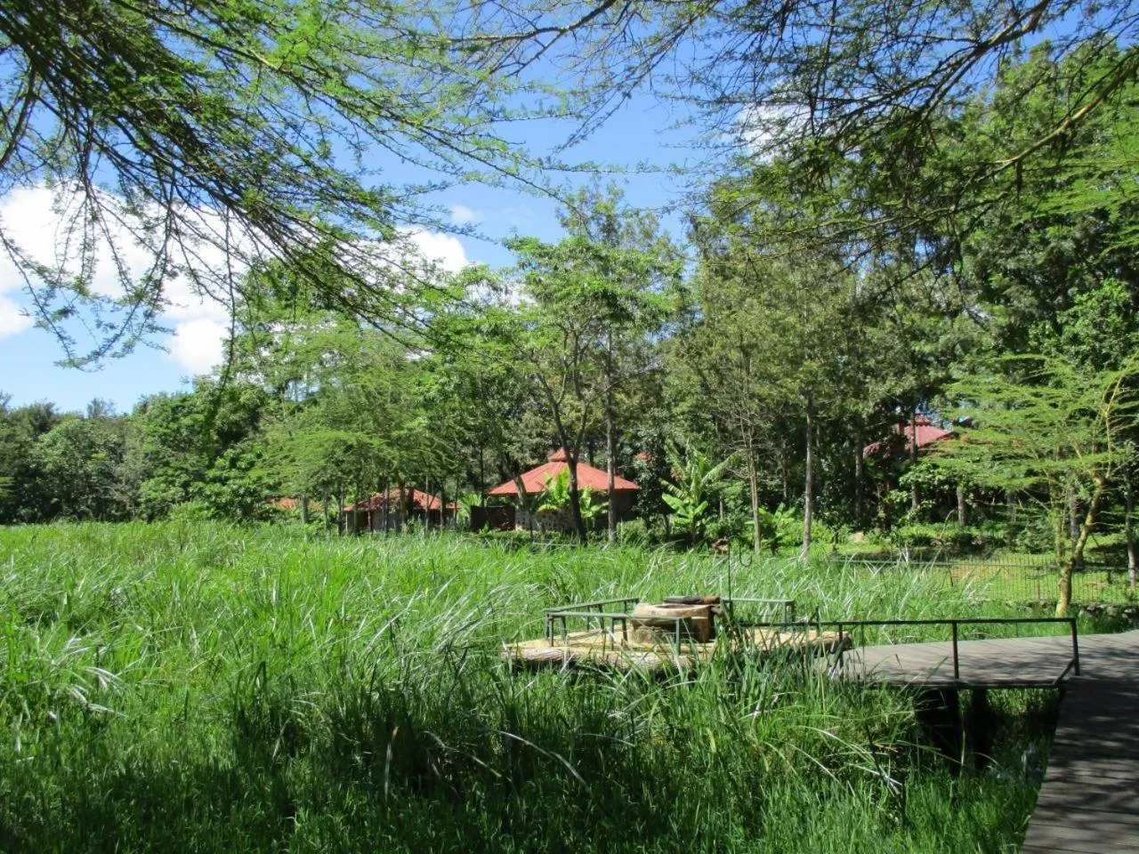 Kiboko Lodge