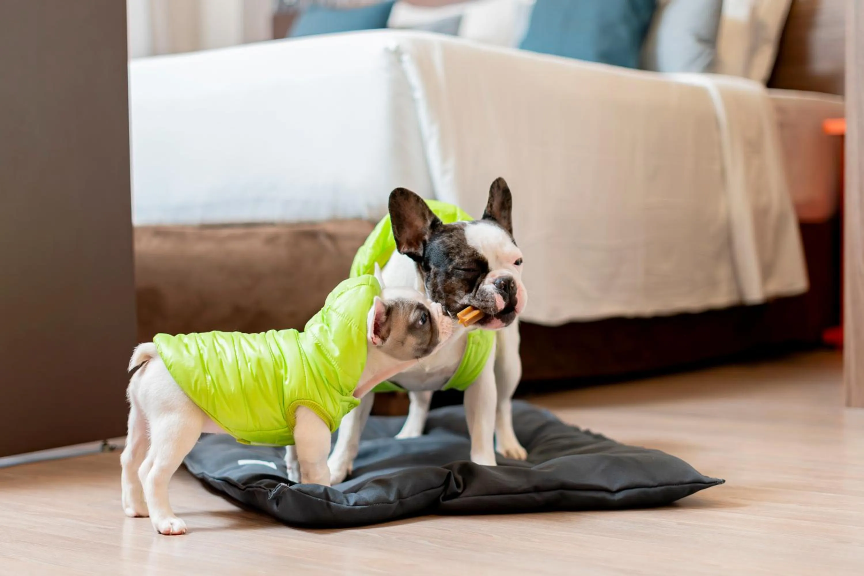 Bedroom in Mercure Sao Paulo Moema Times Square
