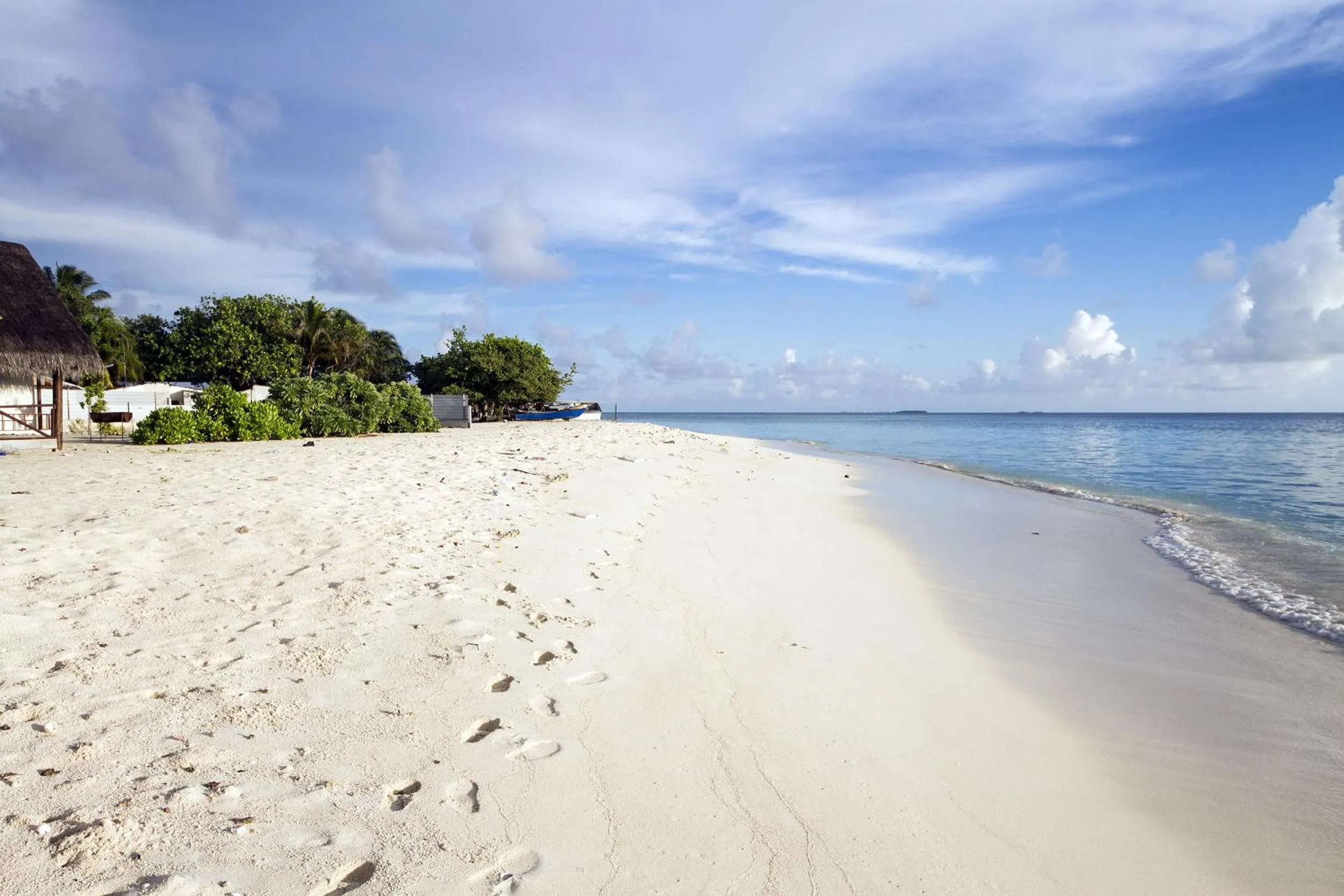 Natural landscape in Tropic Tree Maldives