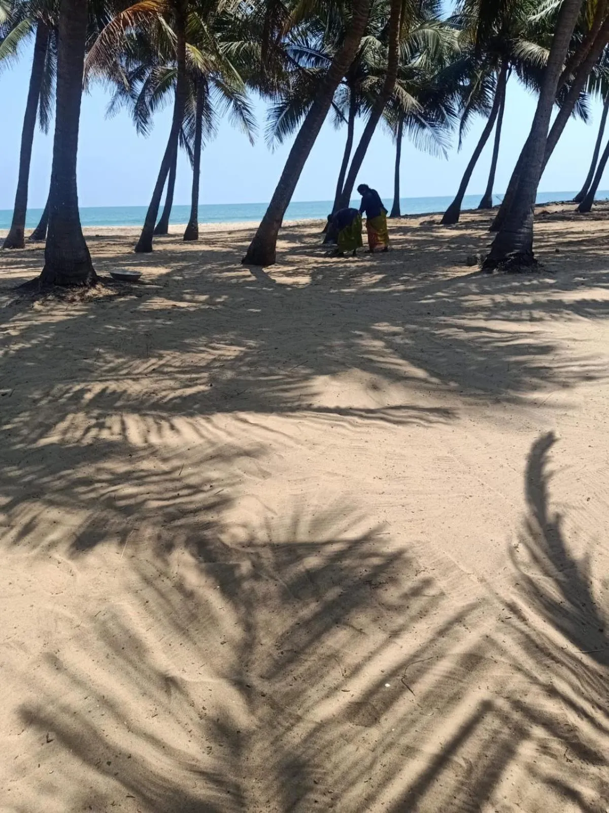 Natural landscape in Chan Beach Resort & Hotel