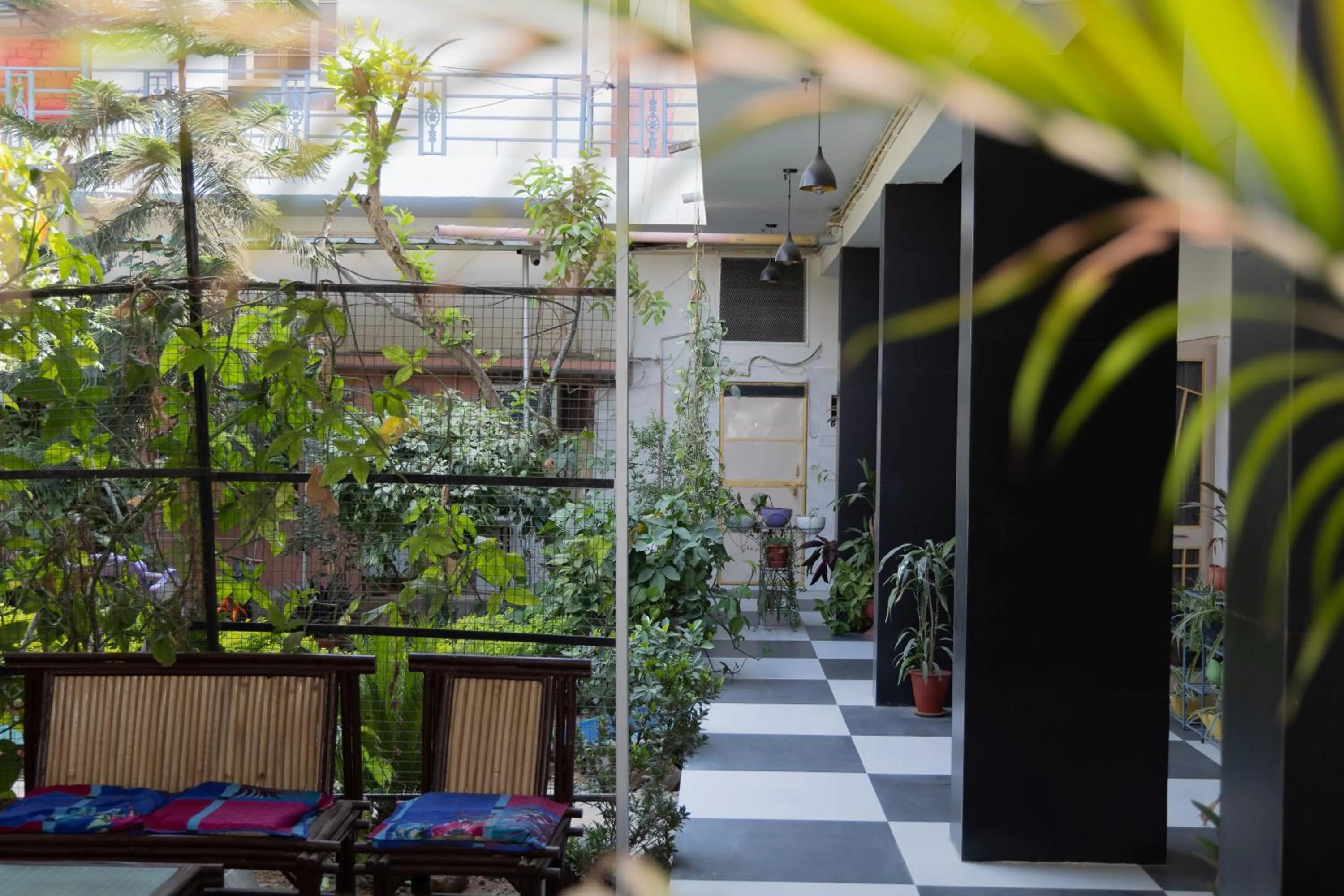 Day in Homestay Urmil Basant