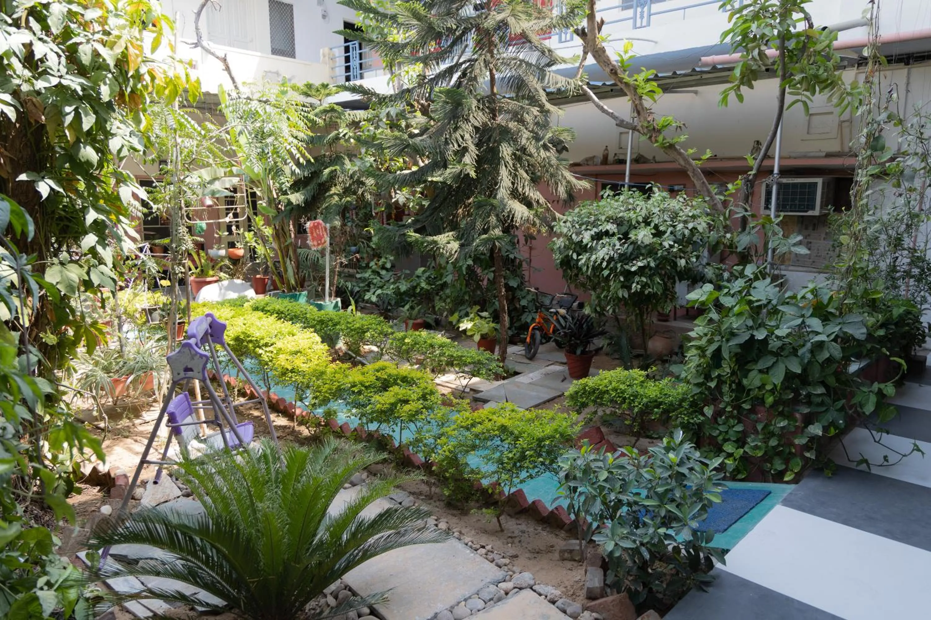 Garden in Homestay Urmil Basant