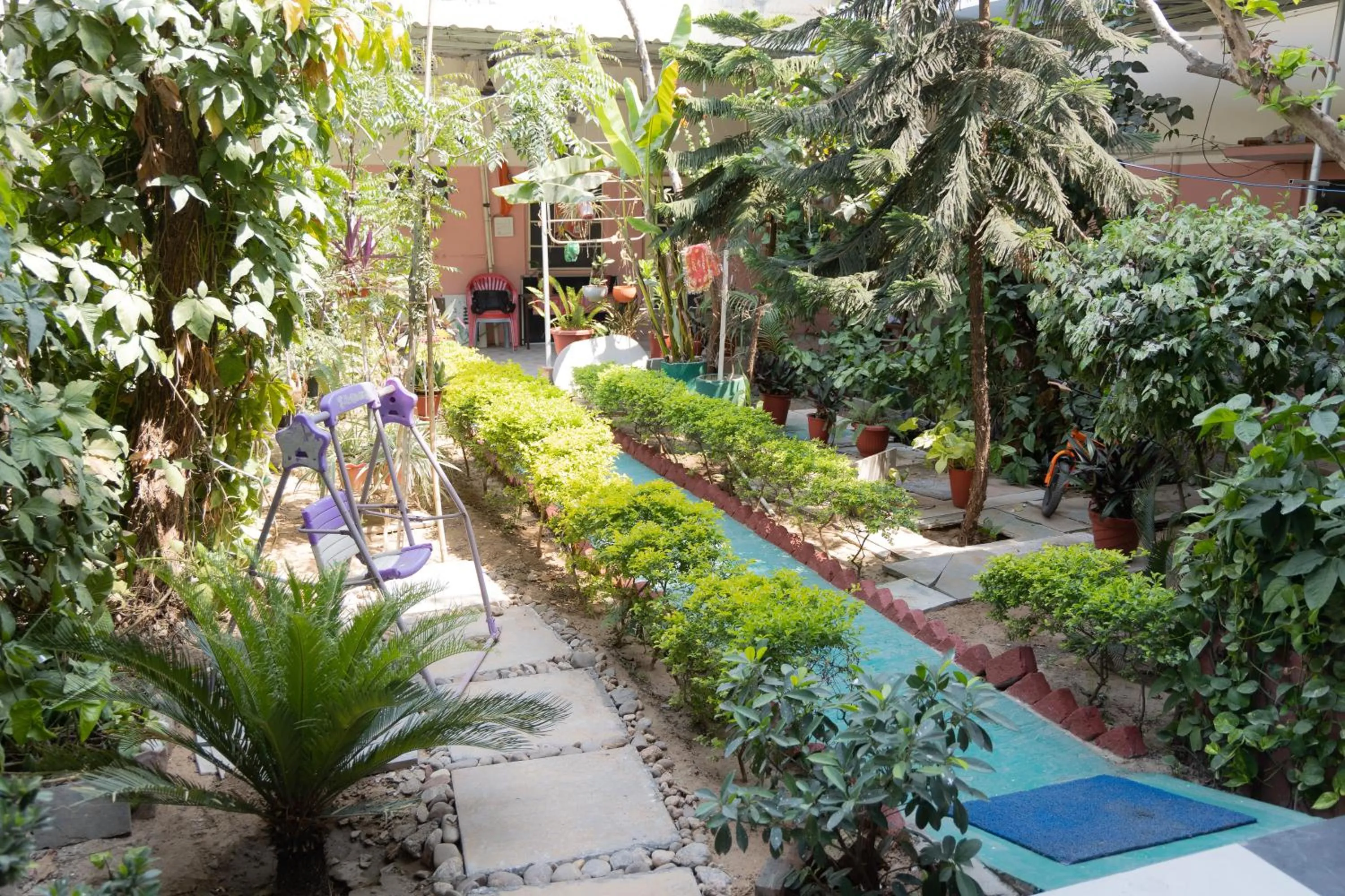 Garden in Homestay Urmil Basant