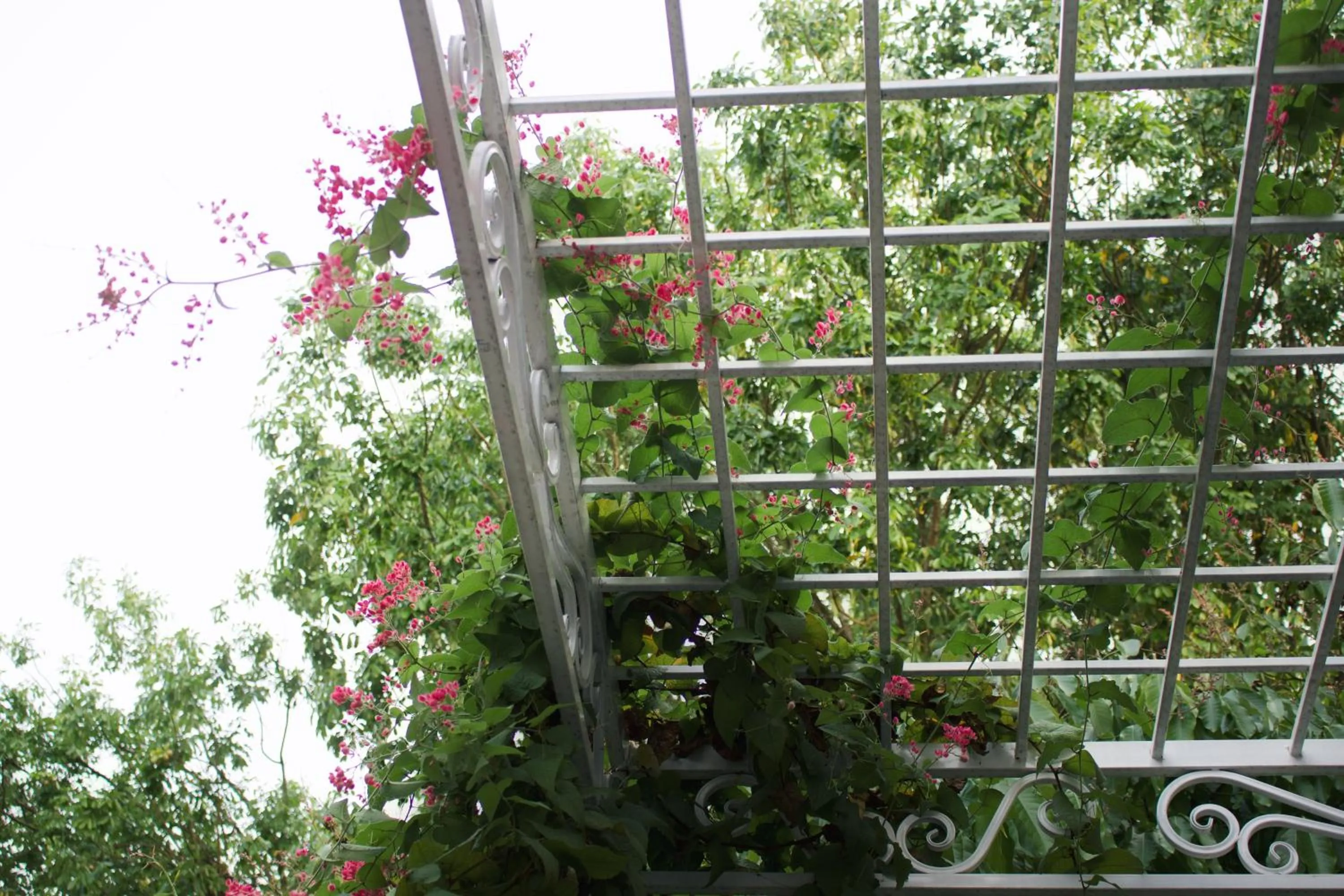 Indigen Boutique Hotel Cao Bang