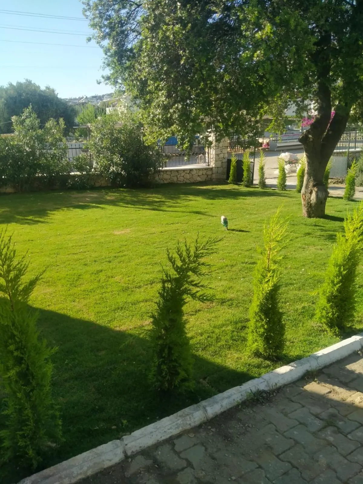 Garden in White Bay Resort