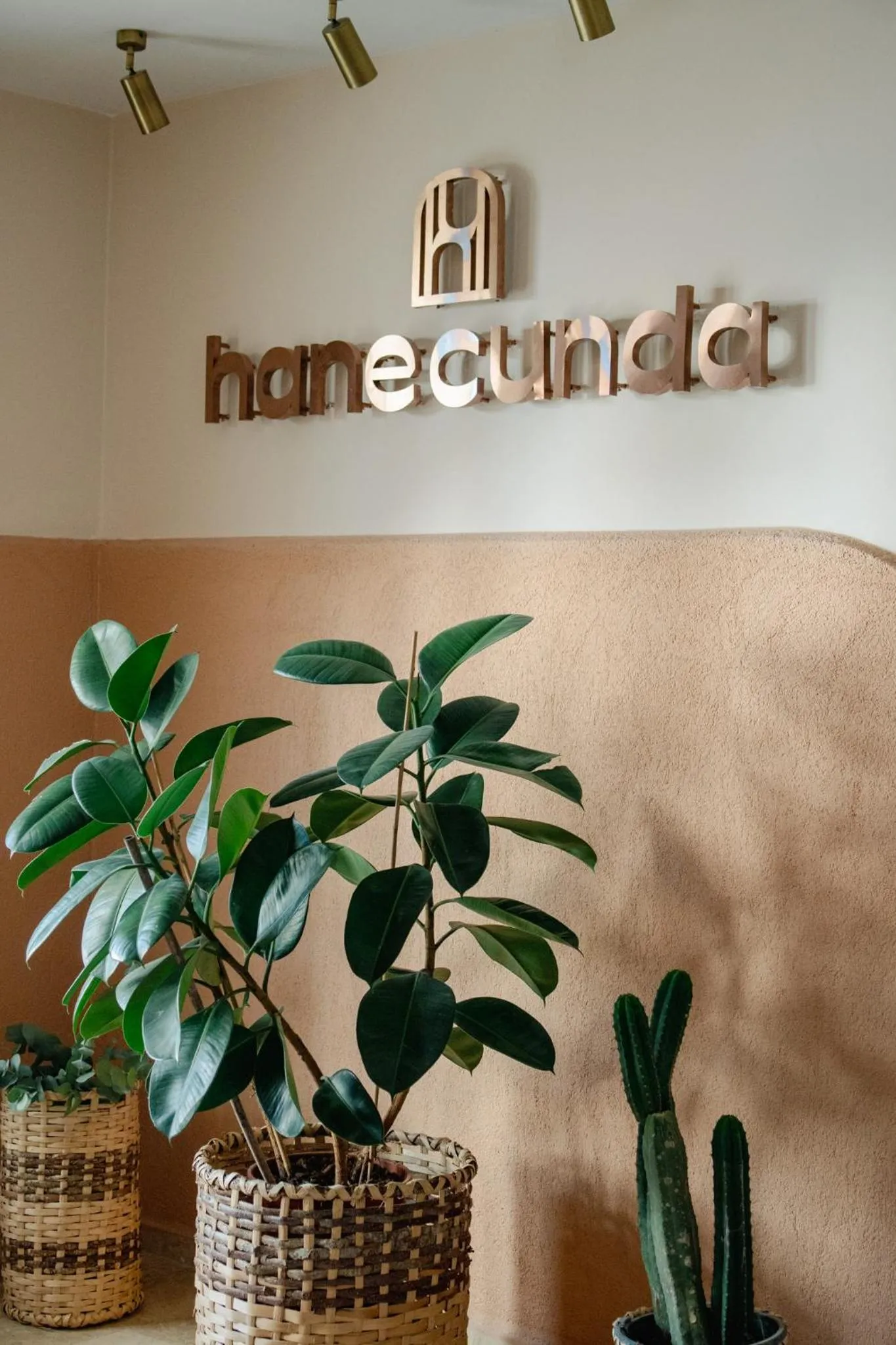 On site in Hane Cunda