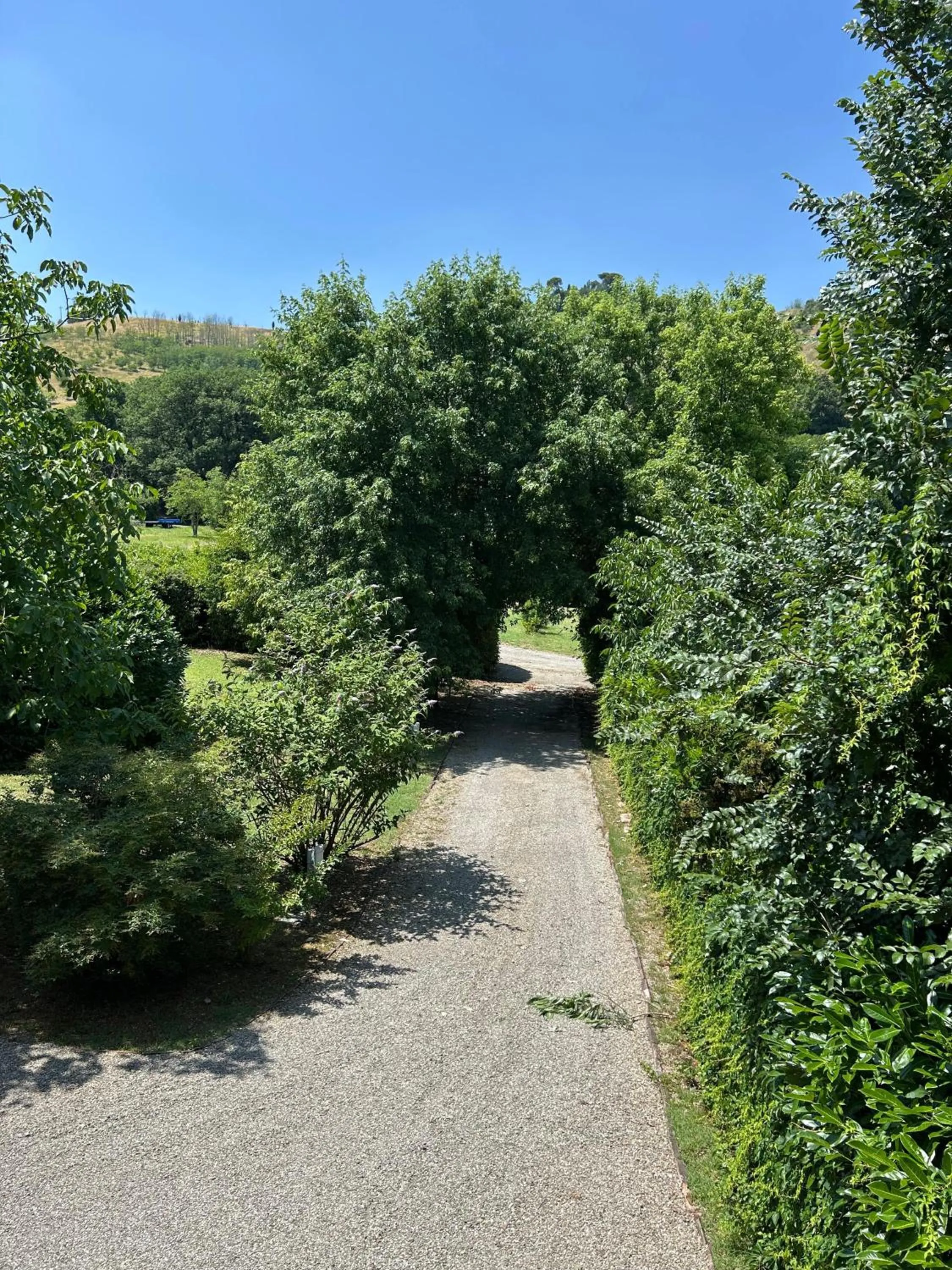 BolognaRoomscom - Ca' Palazzo