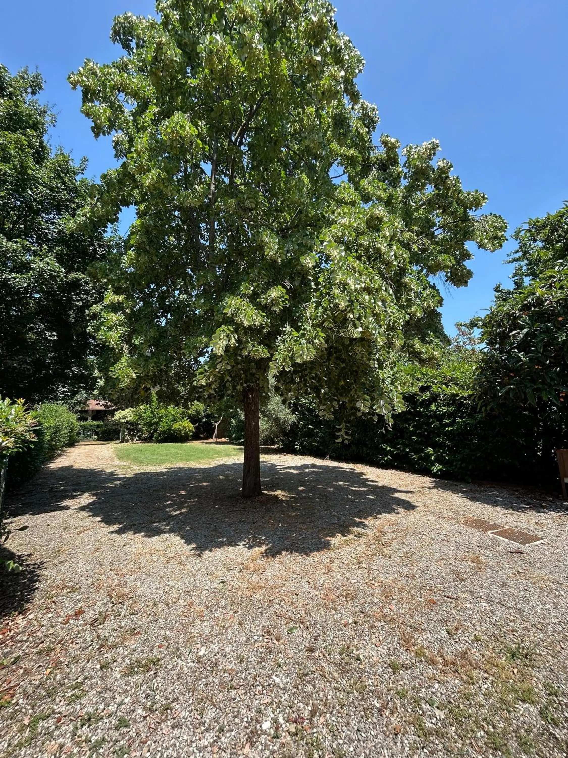 BolognaRoomscom - Ca' Palazzo