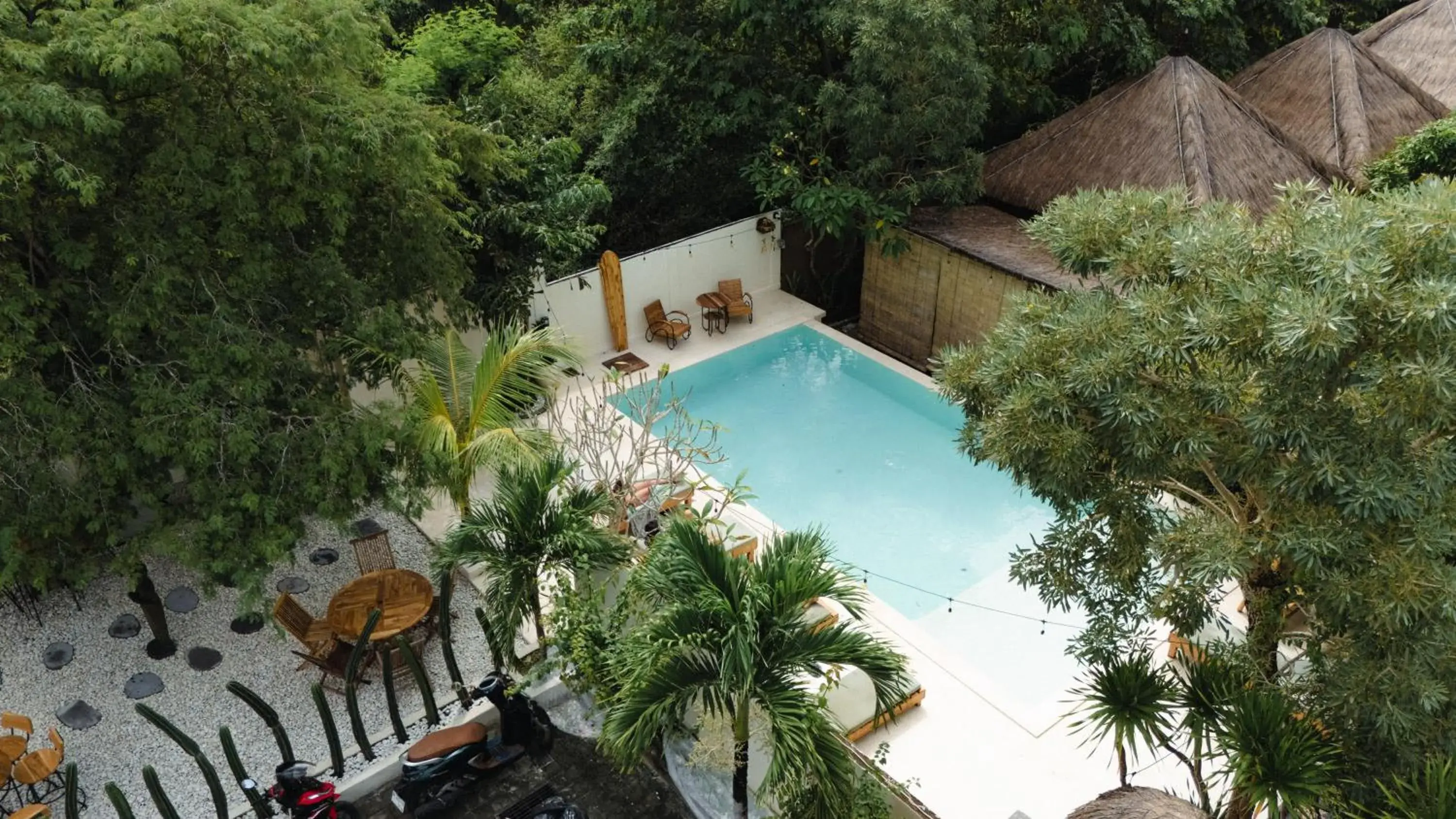 Olo Surf Nature Olo Surf Nature