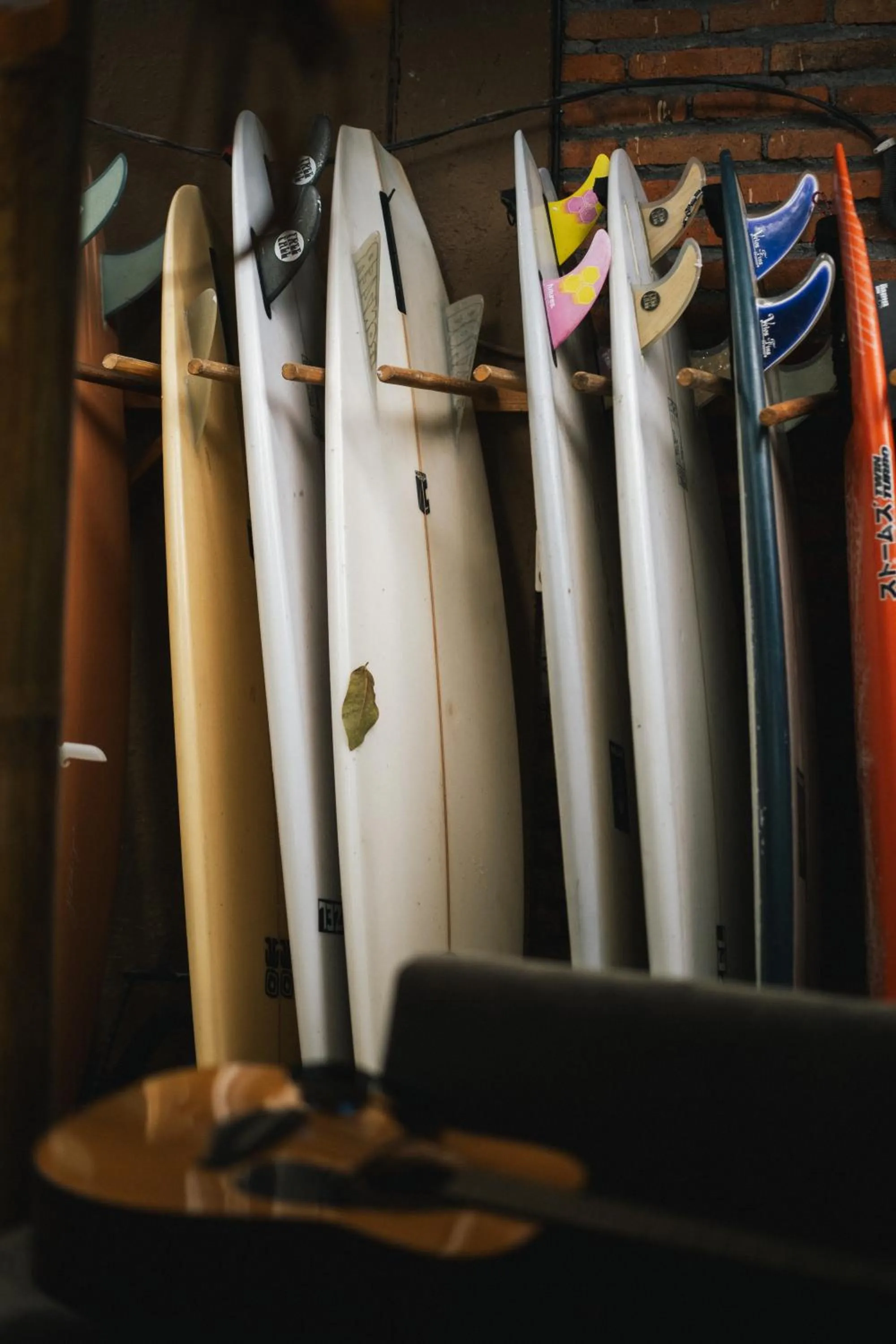 Activities in Olo Surf Nature