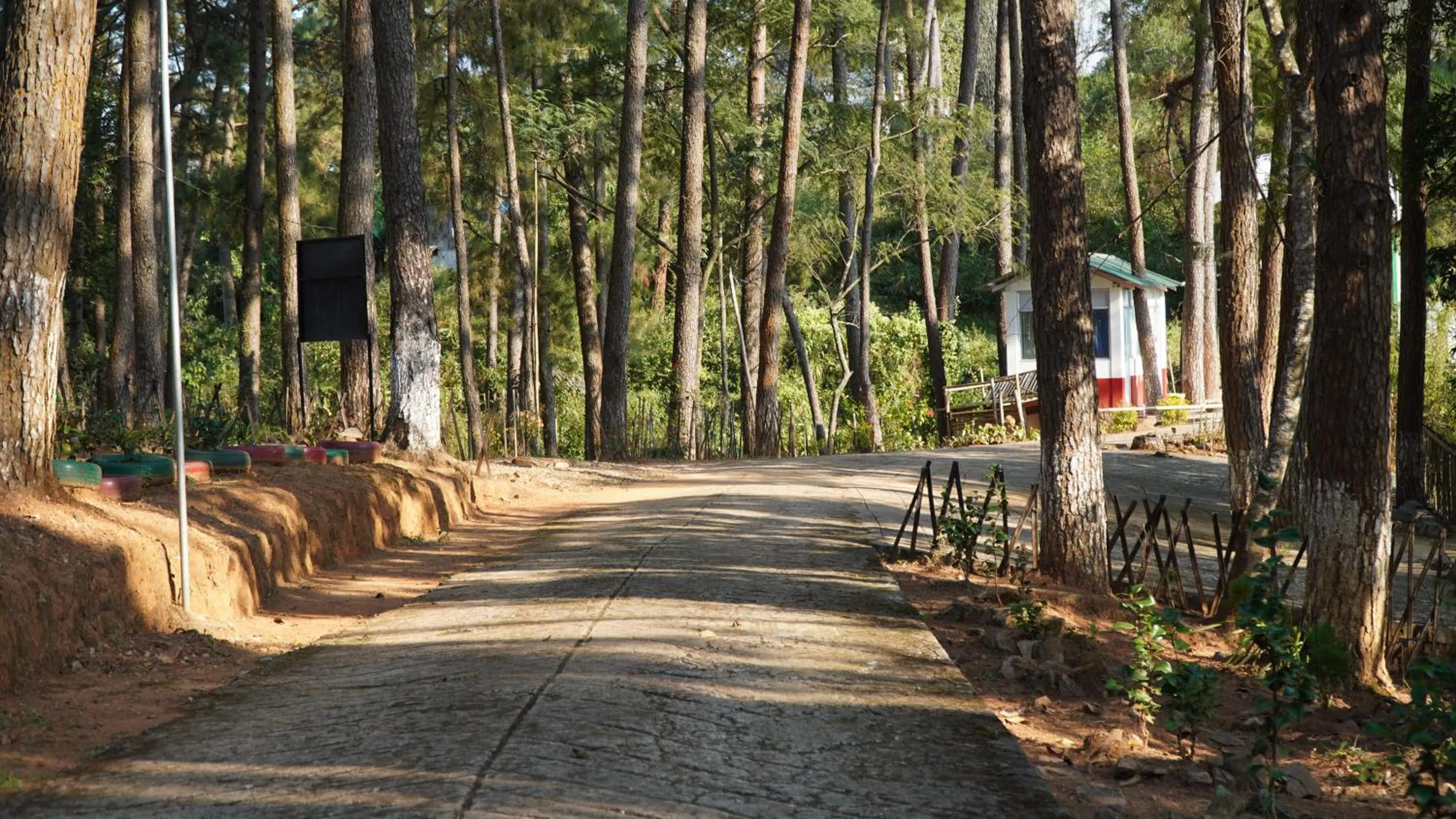 Children play ground in ROYALTY GLOBAL HOMESTAY