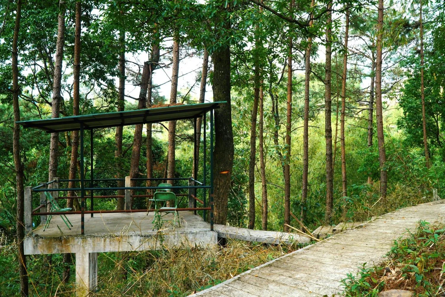 Garden view in ROYALTY GLOBAL HOMESTAY