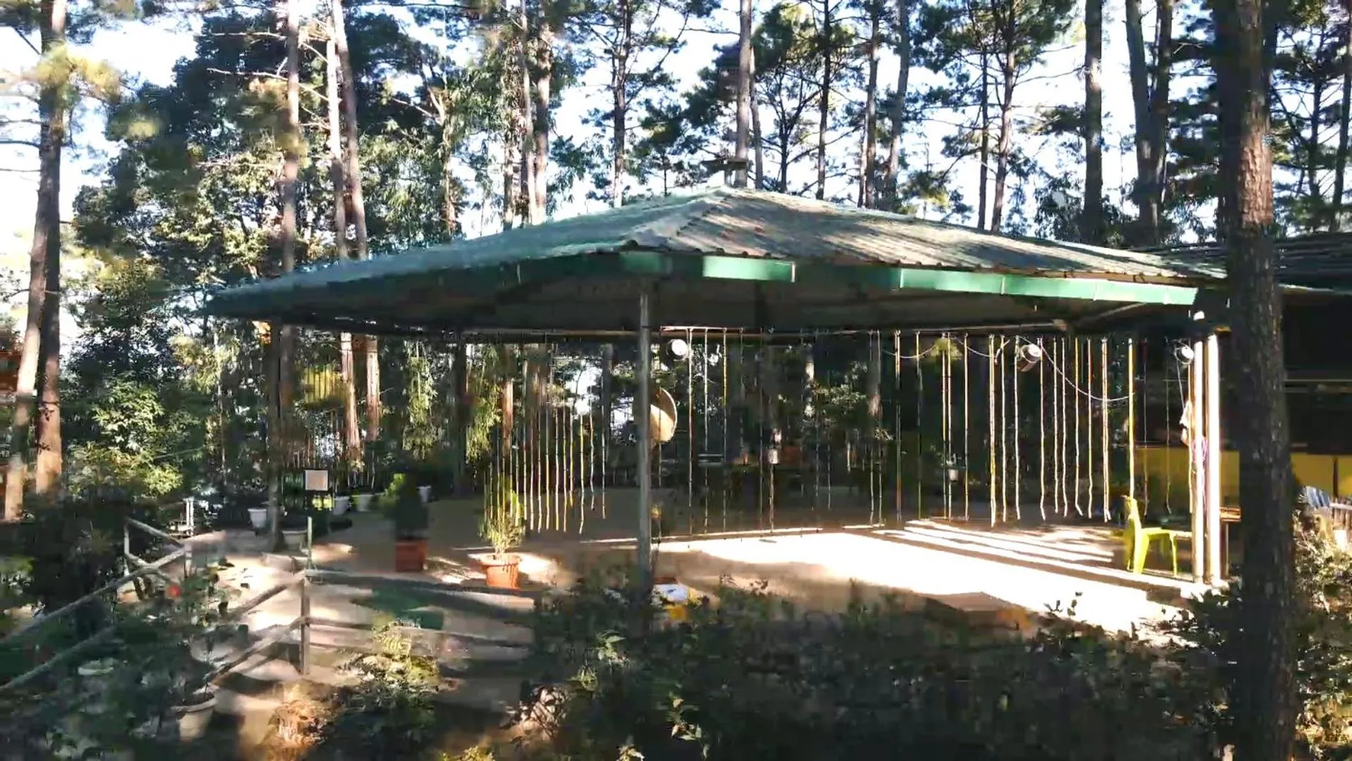 Garden in ROYALTY GLOBAL HOMESTAY