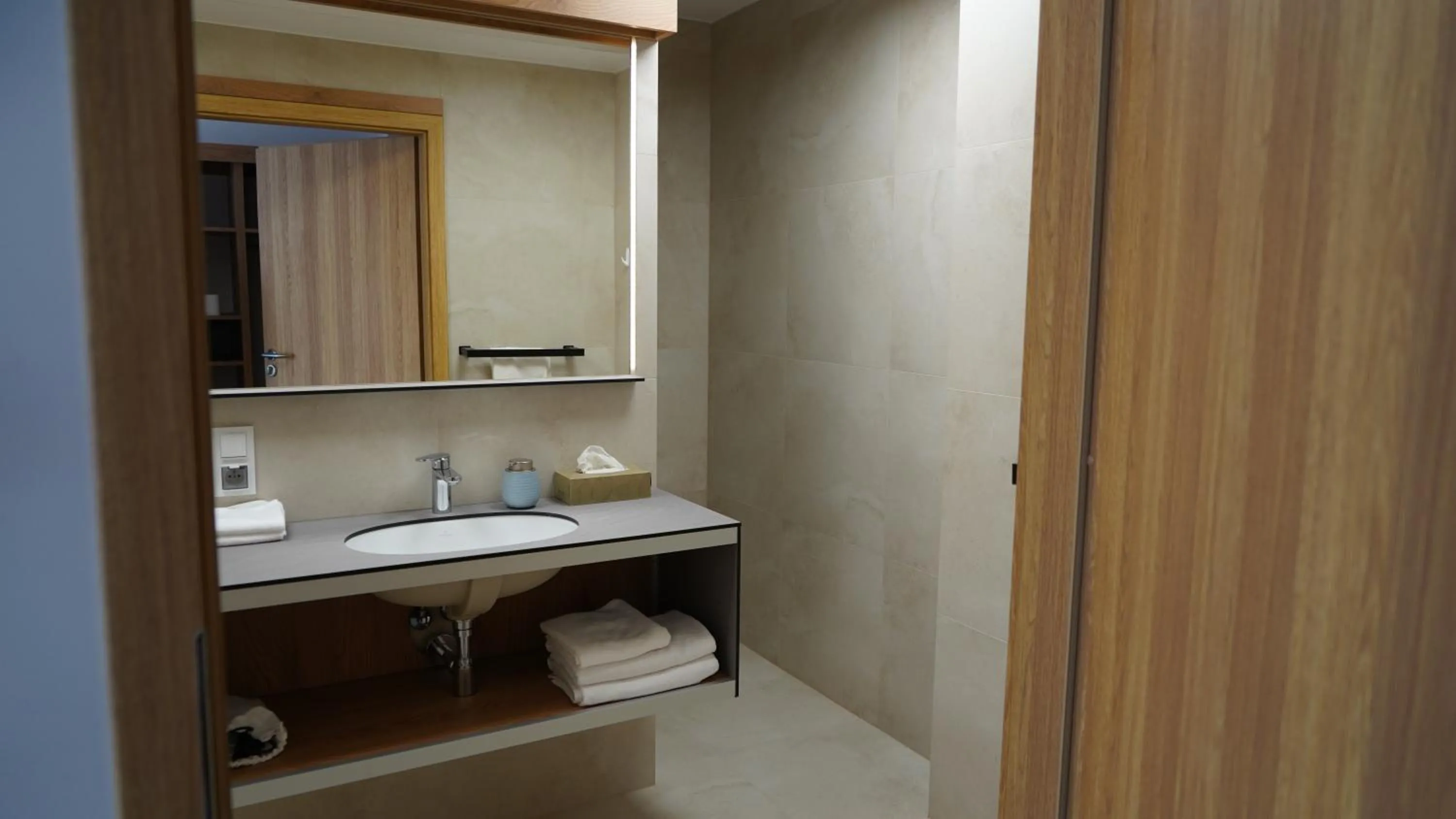 Bathroom in Apartament Aparthotel Passage