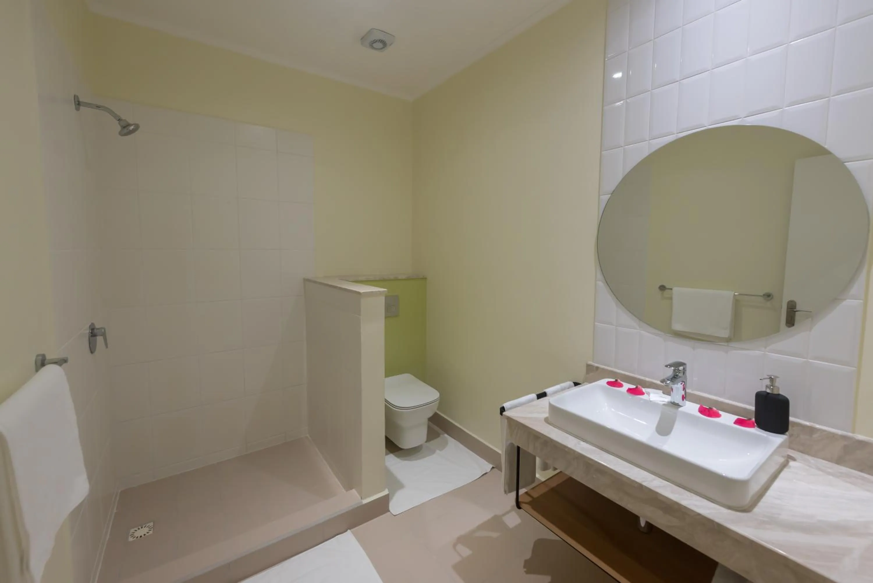 Bathroom in Residence Praslinoise