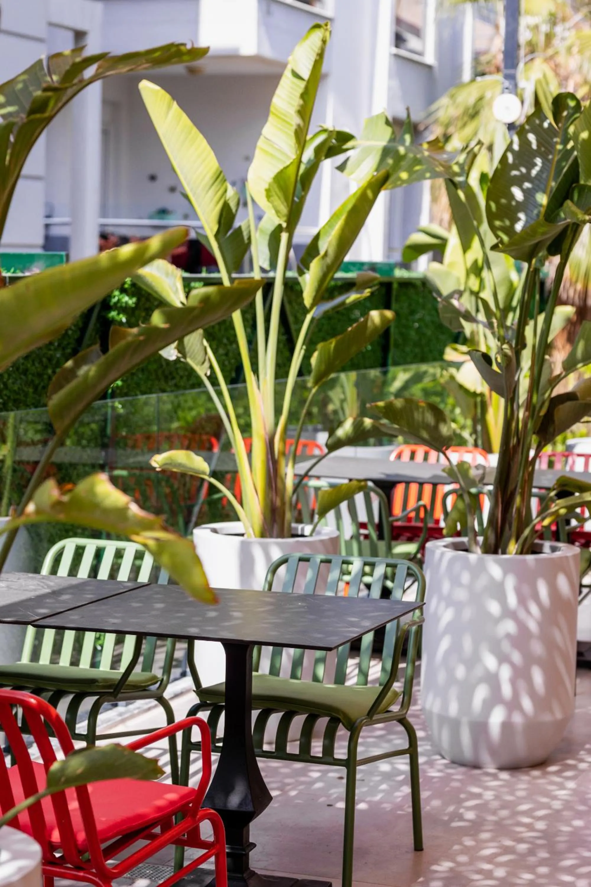 Patio in Luff Living - Adult Only 12 Plus