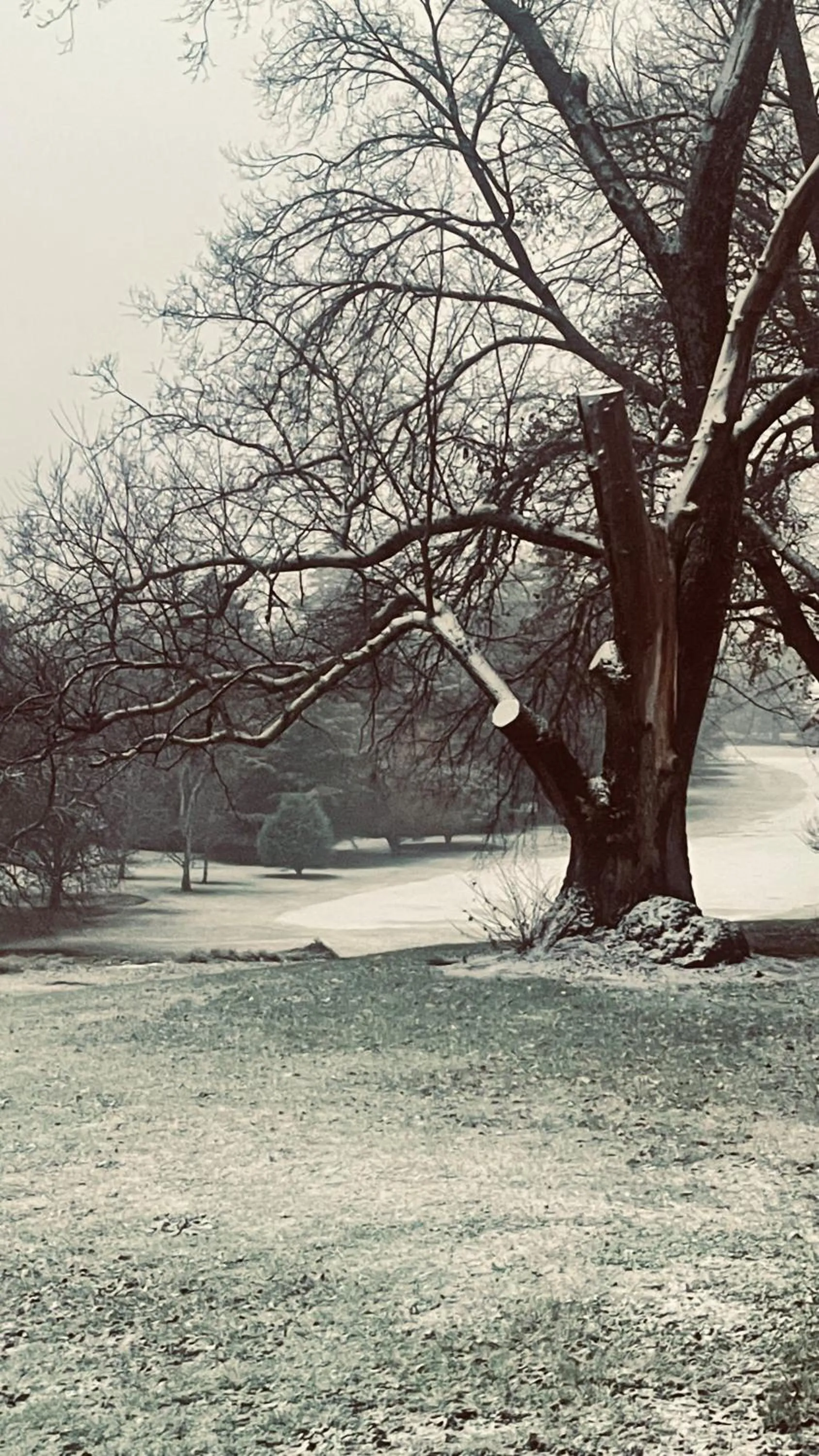 Winter in Duntryleague