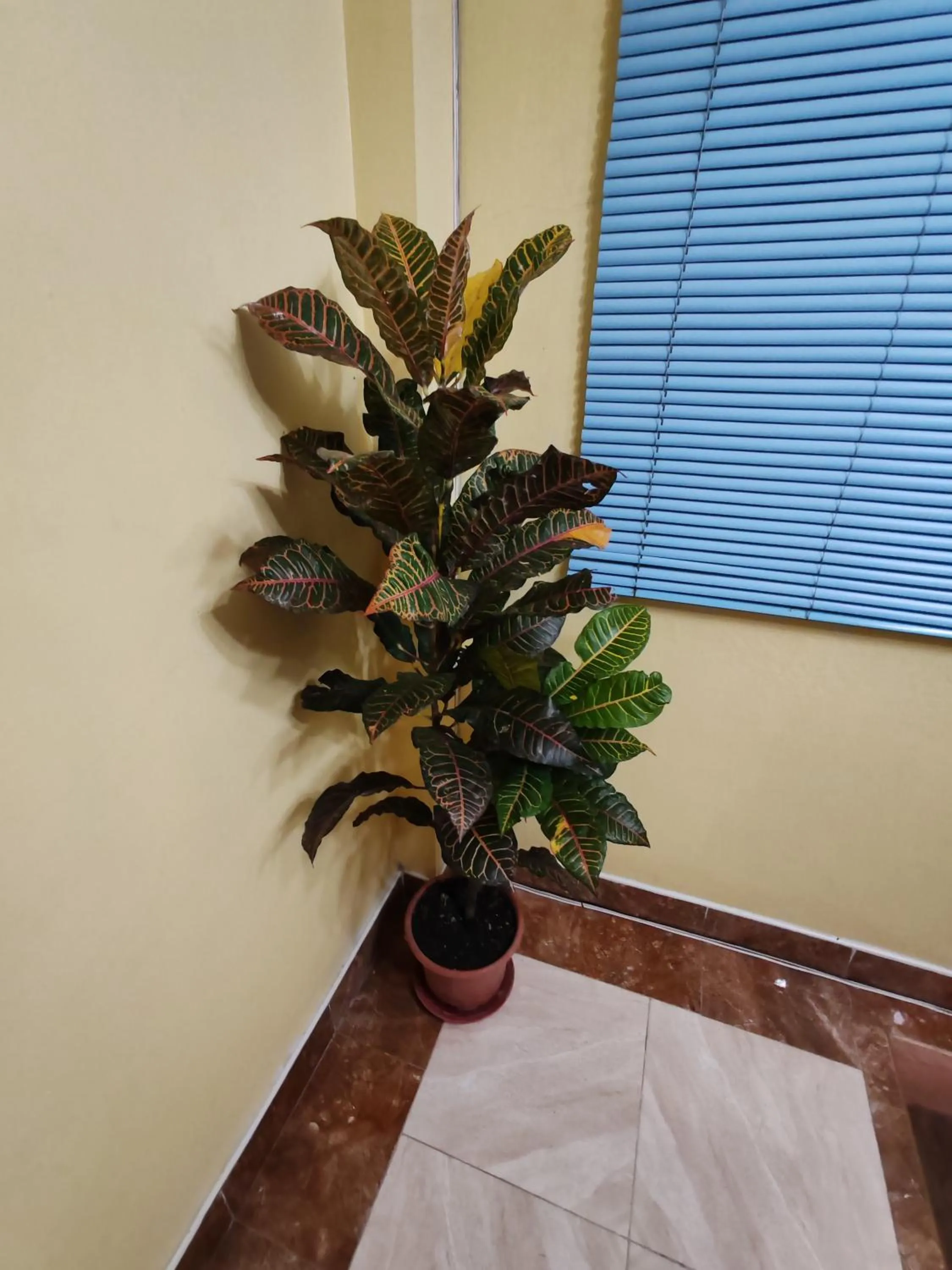 TGH Guest House Badian