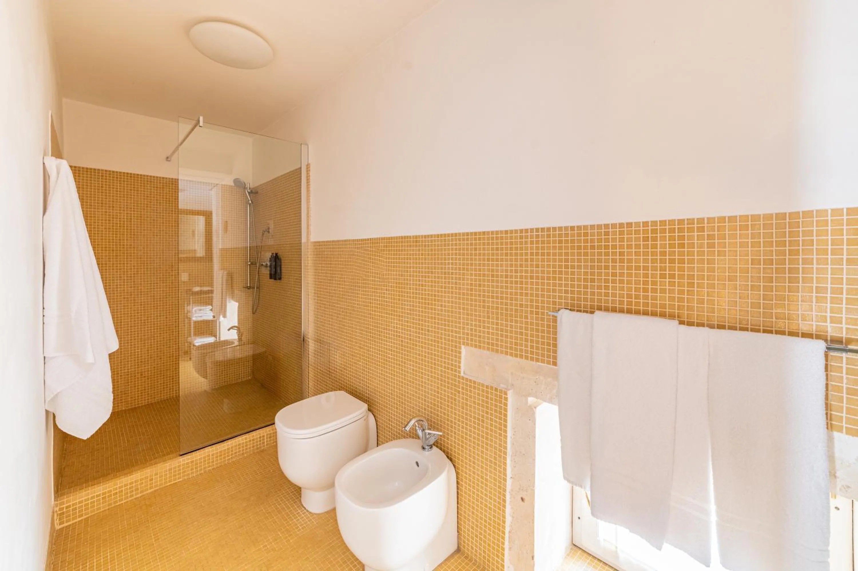 Shower in Hotel Palazzo Cavalieri