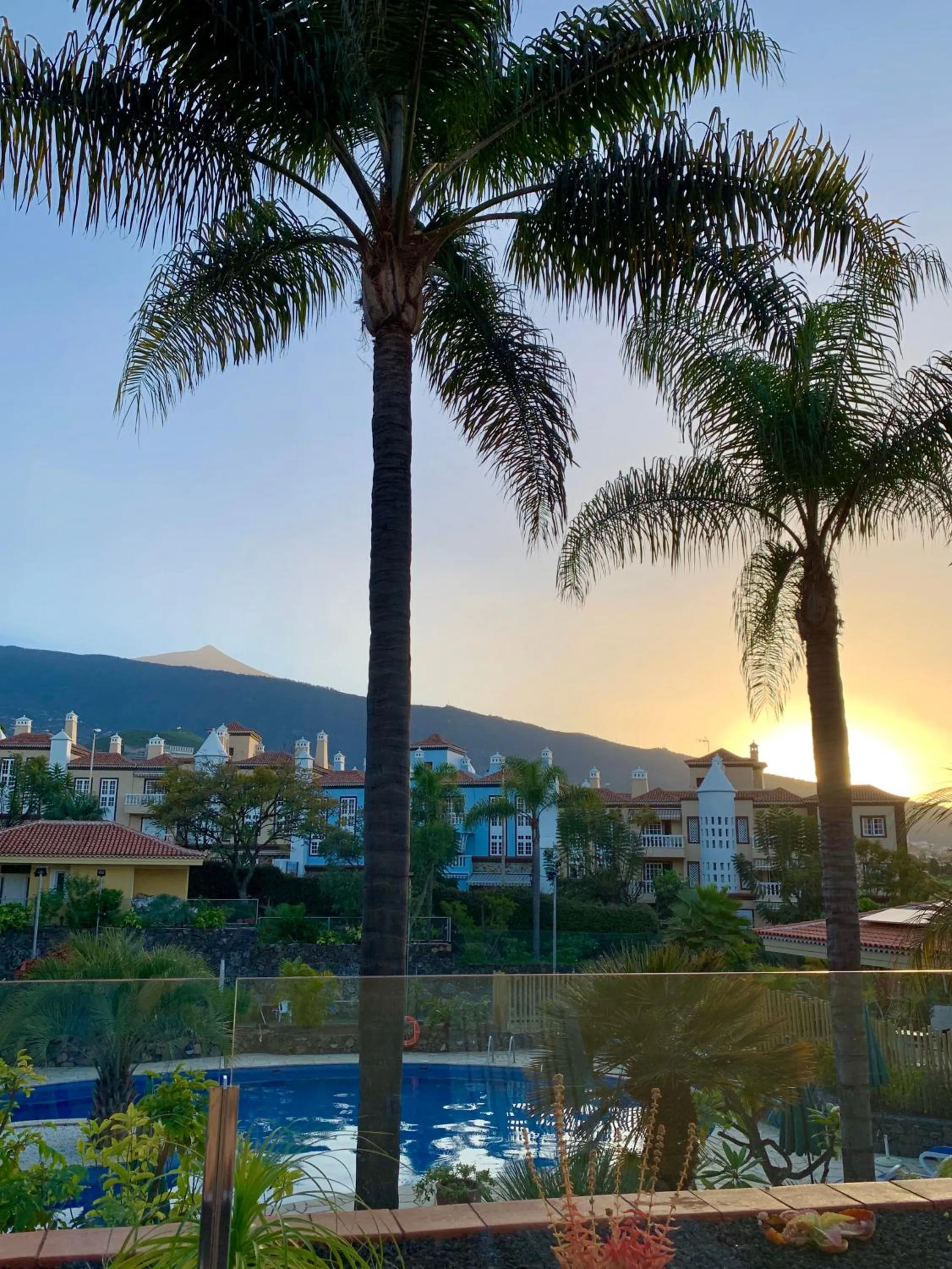 Garden view in Apartamentos Tigaiga Suites