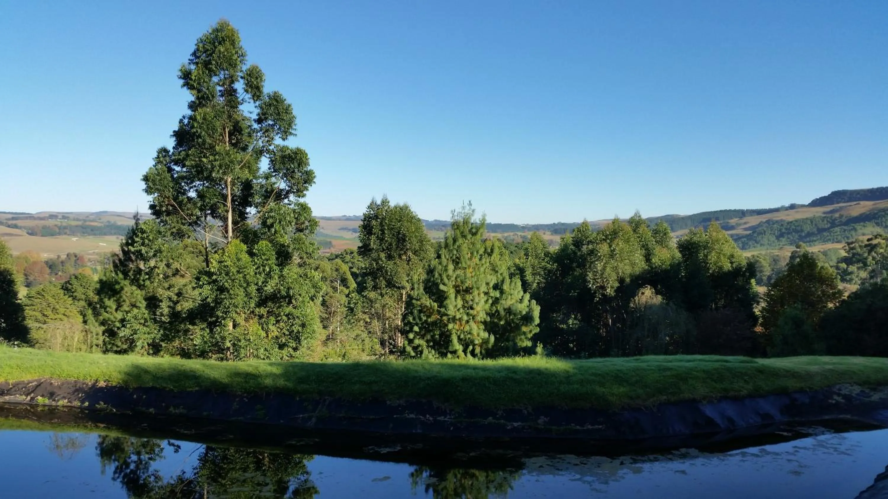 Fishing in Arum Hill Lodge