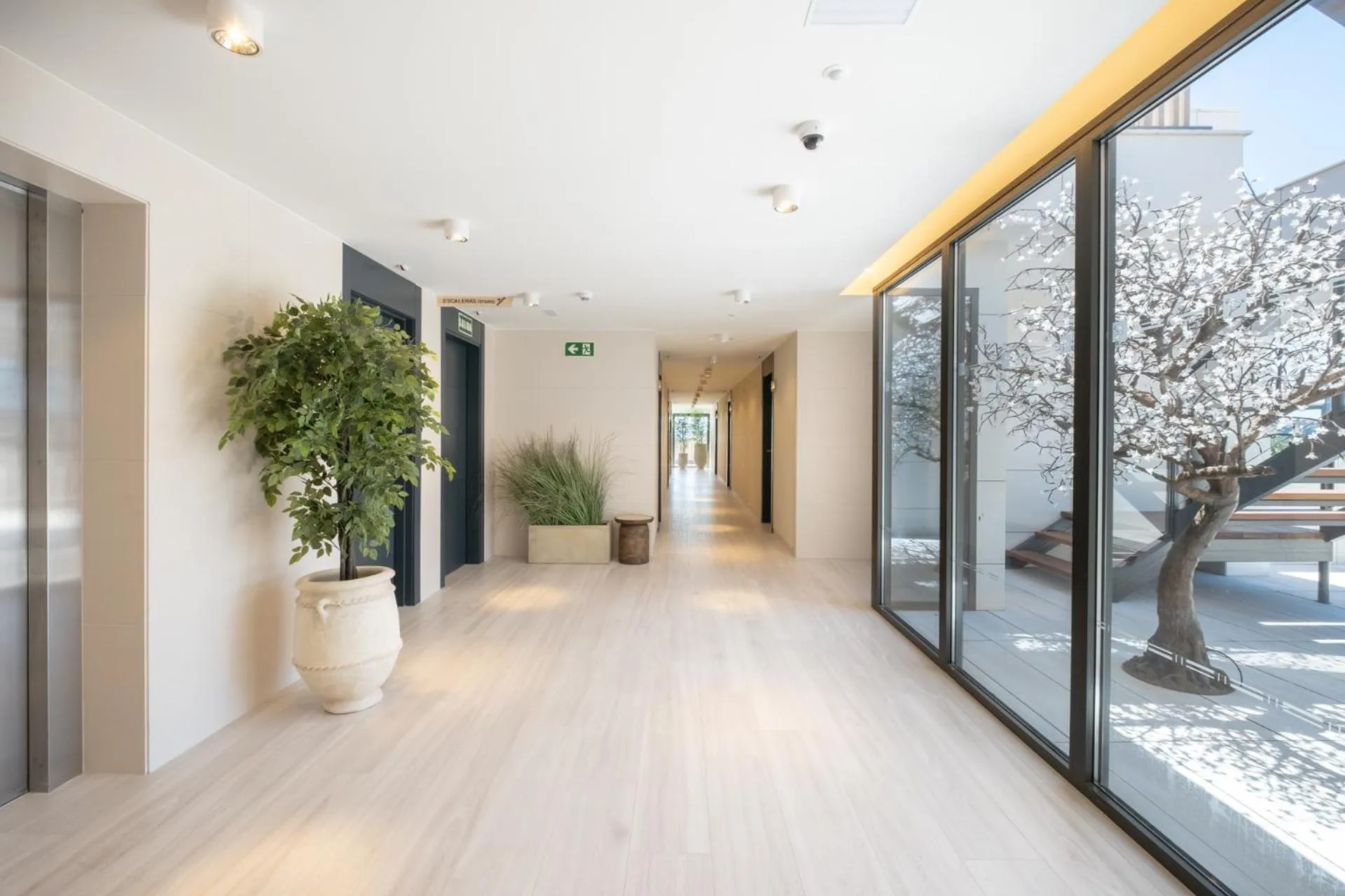 Area and facilities in Hotel Cetina Cabo de Palos Puerto