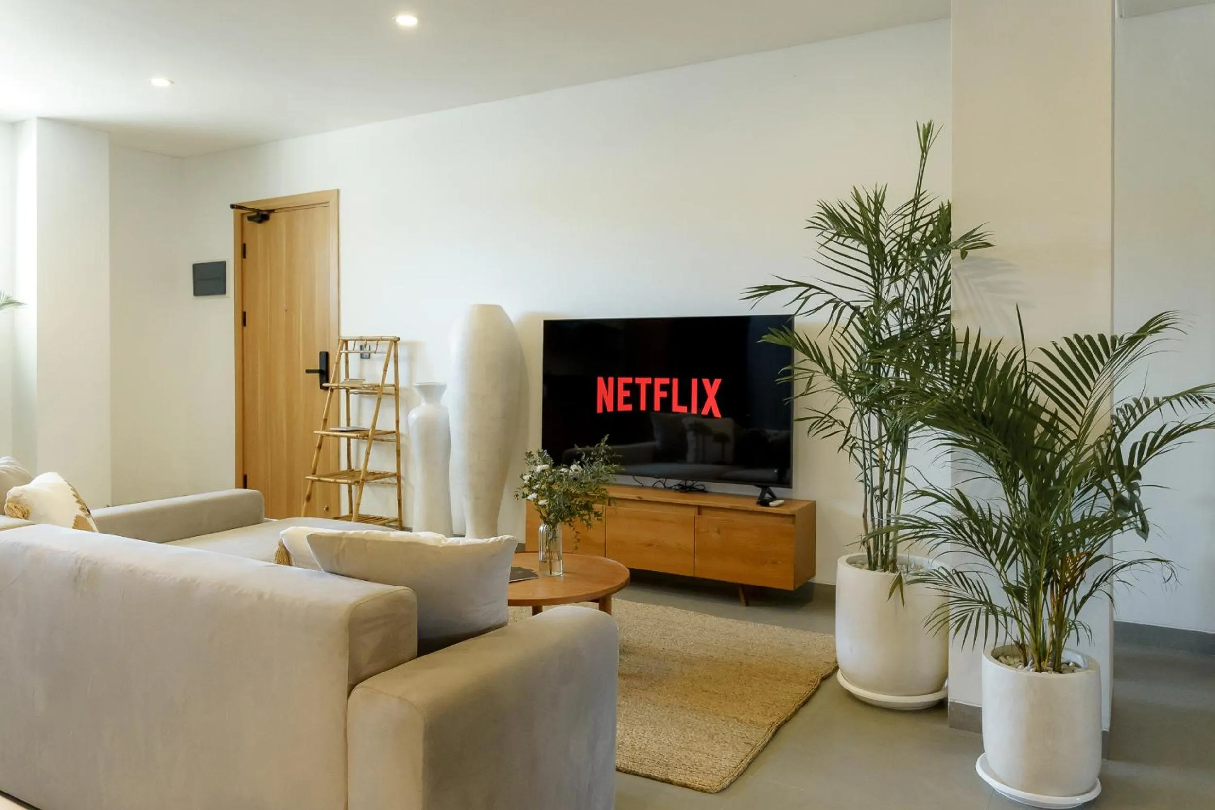 TV and multimedia in Sunny Aparts 1