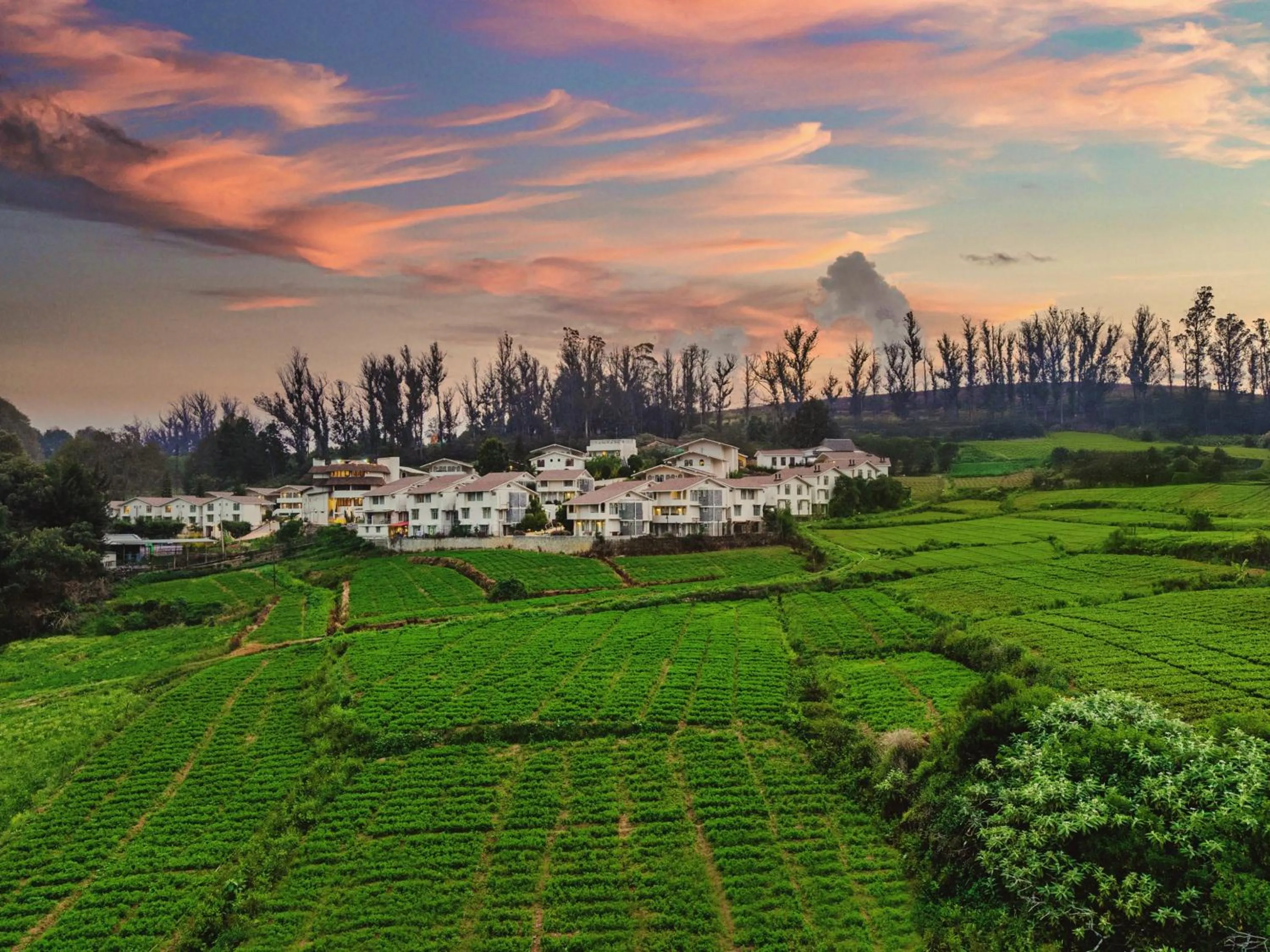 Bird's eye view in Mango Hill Shola Ooty