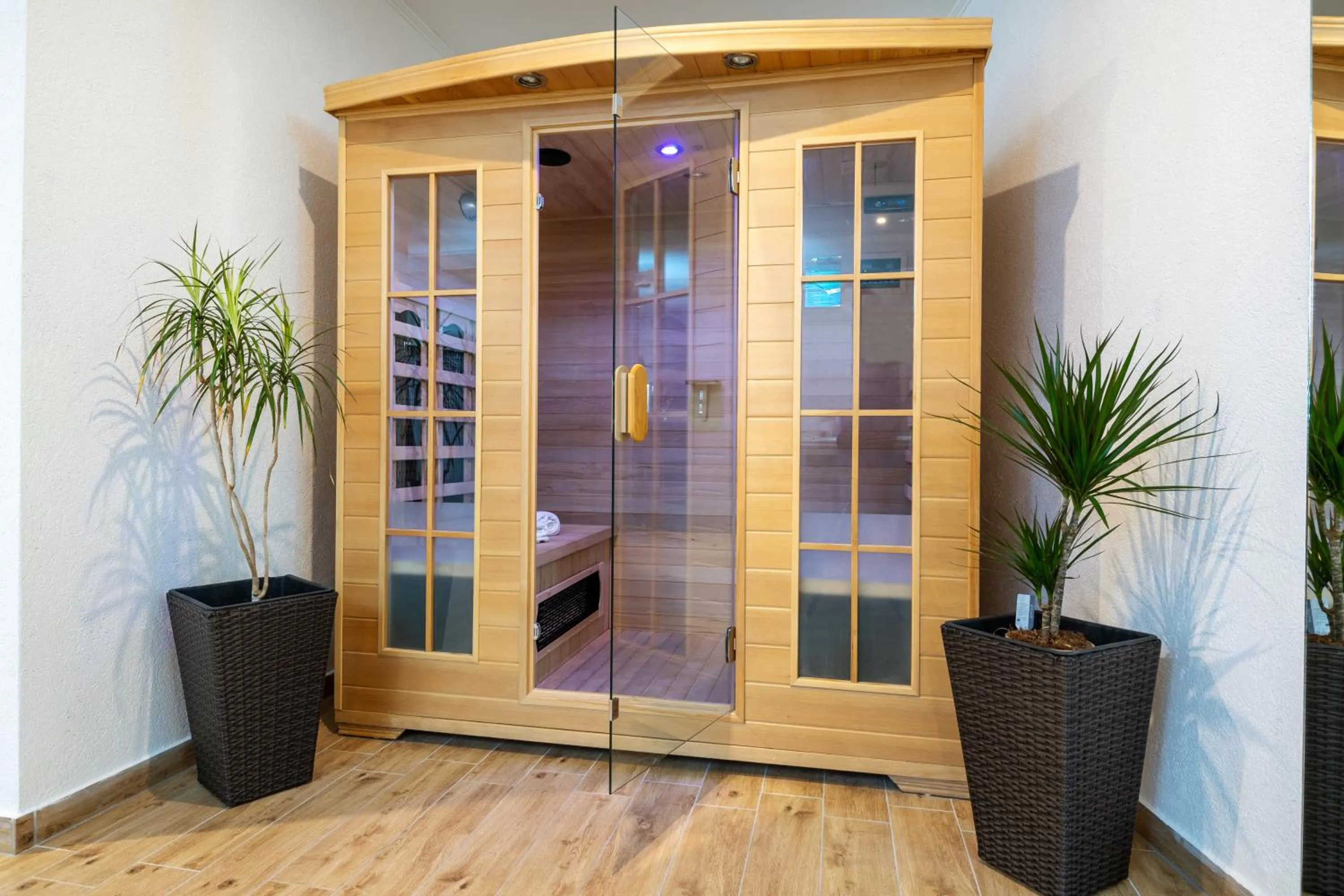 Sauna in Villa Gabriel with pool, sauna, jacuzzi