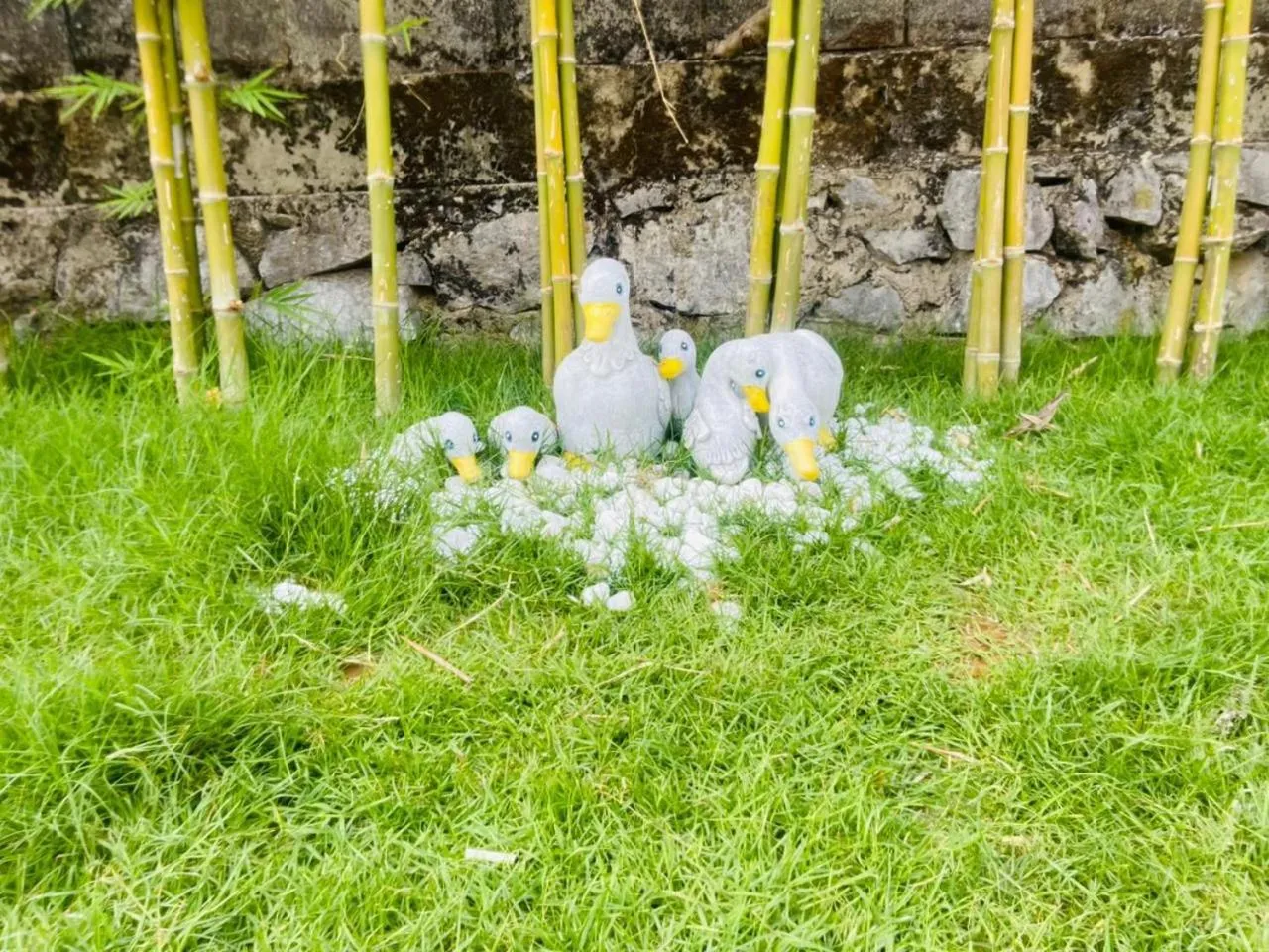 Remember Vangvieng Hotel