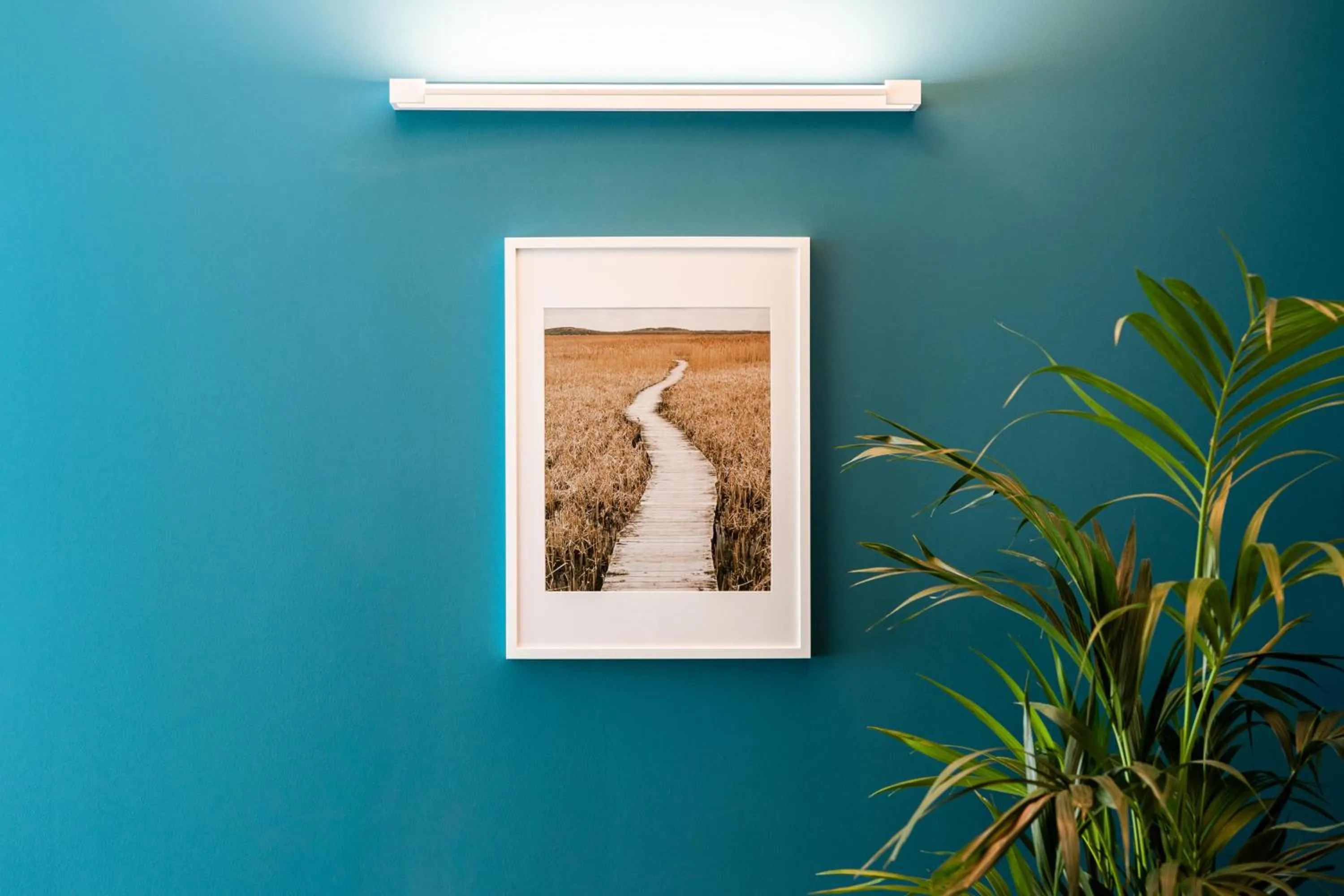 Decorative detail in Camoma Aparthotel - Suites Apartments