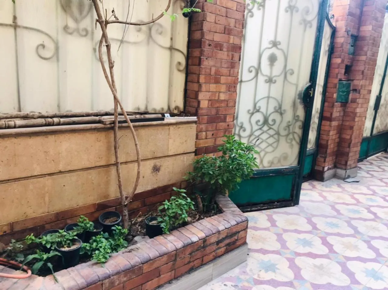 Garden view in Sami pyramids Inn