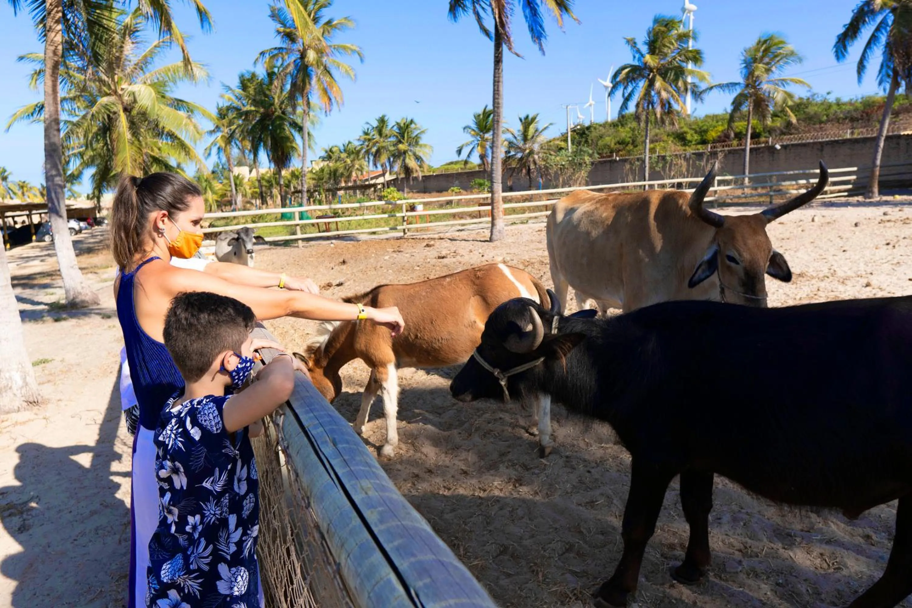 Hotel Parque das Fontes