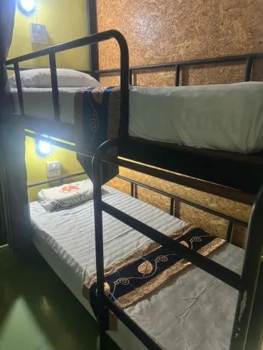 Chiangmai Panda Hostel(2)