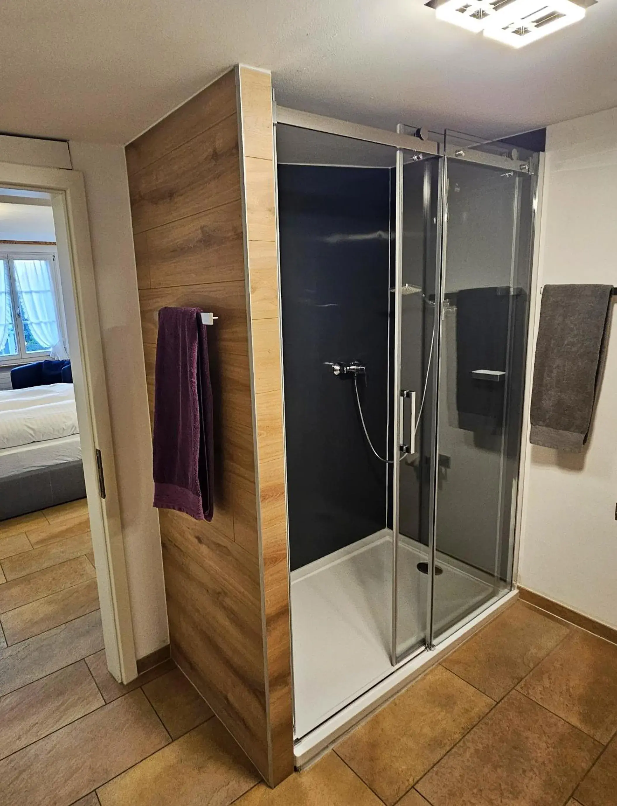 Double Room - single occupancy in Hotel Taverne zur Linde Double Room - single occupancy in Hotel Taverne zur Linde