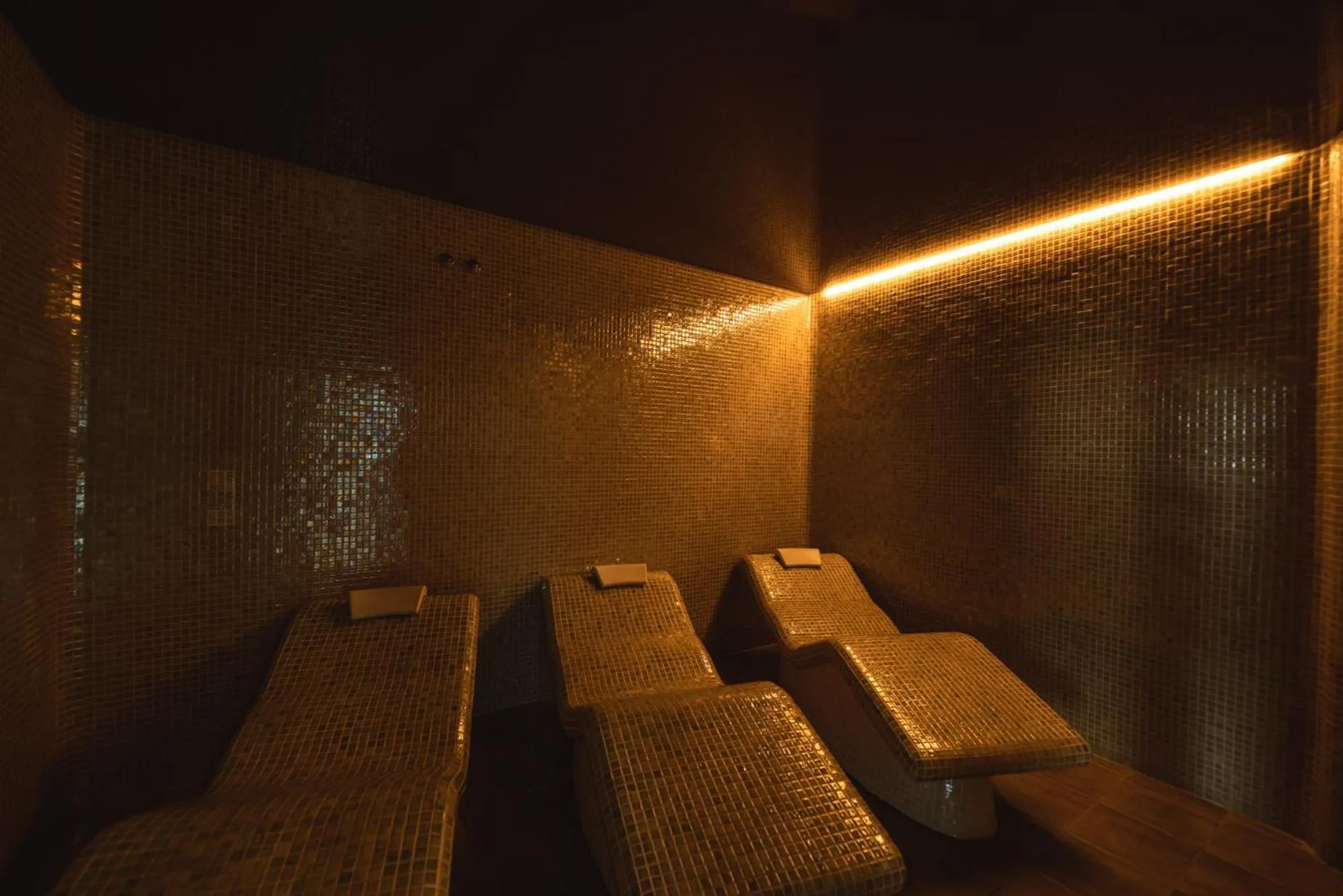 Sauna in Hotel Mas Solà