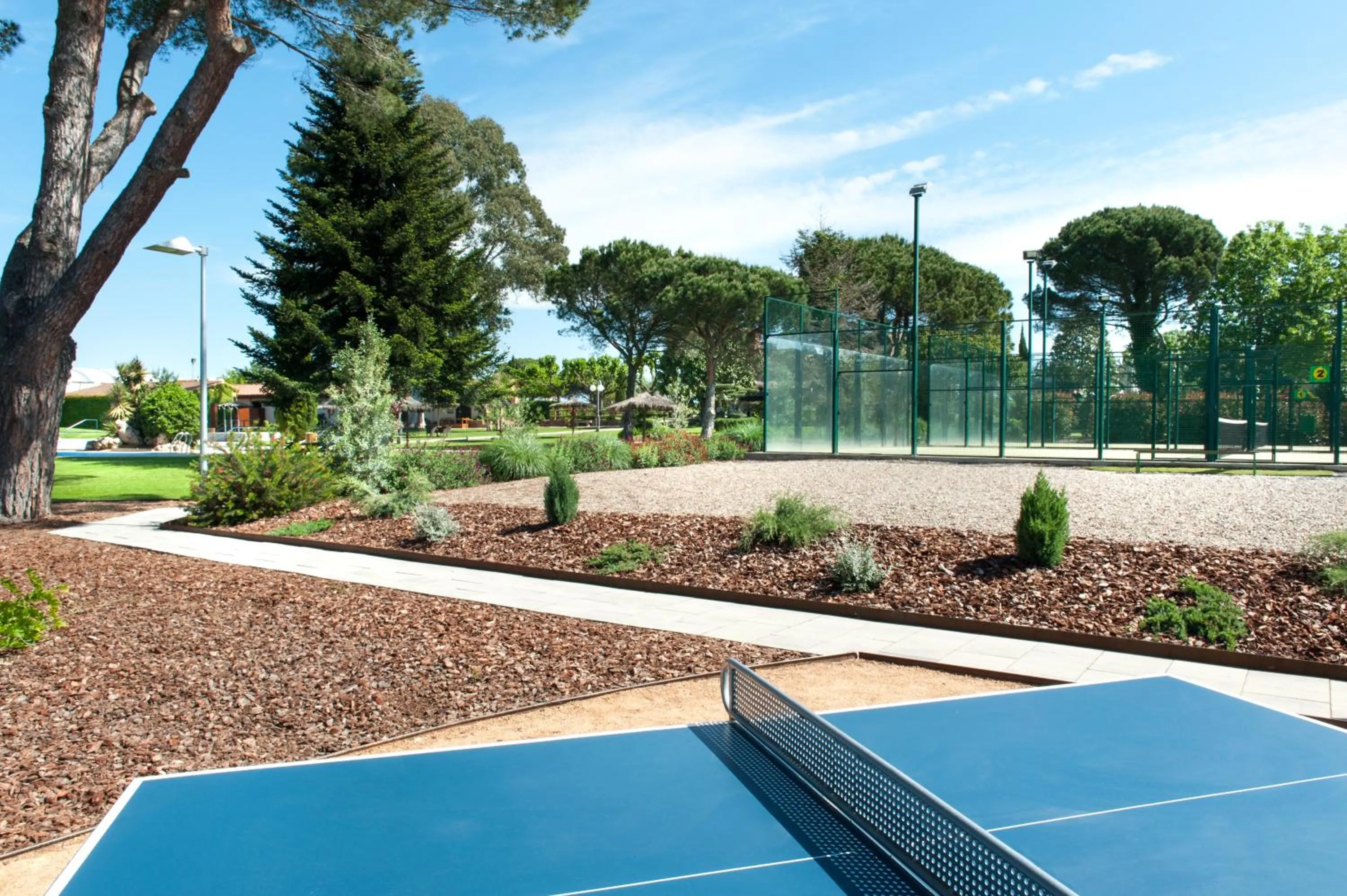 Activities in Hotel Mas Solà