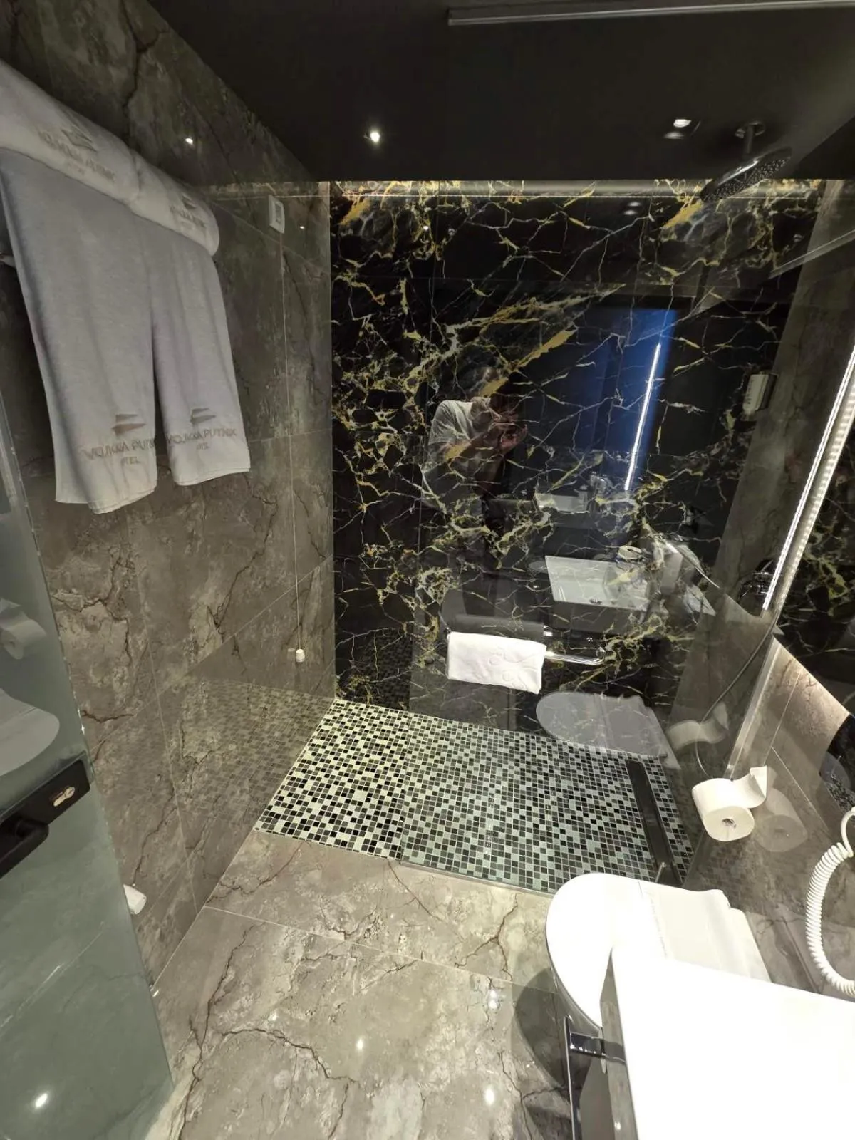 Toilet in Hotel Vojvoda Putnik