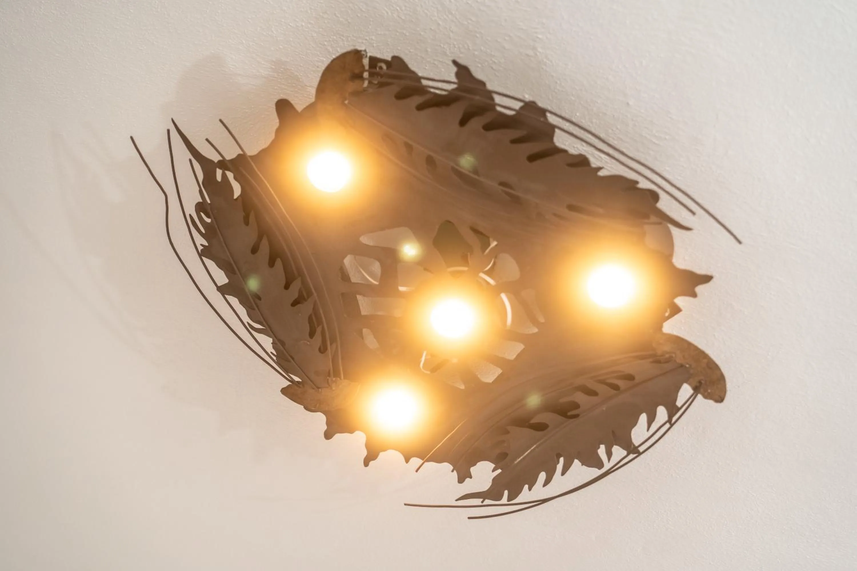 5 Frogs Hotel Bucerias