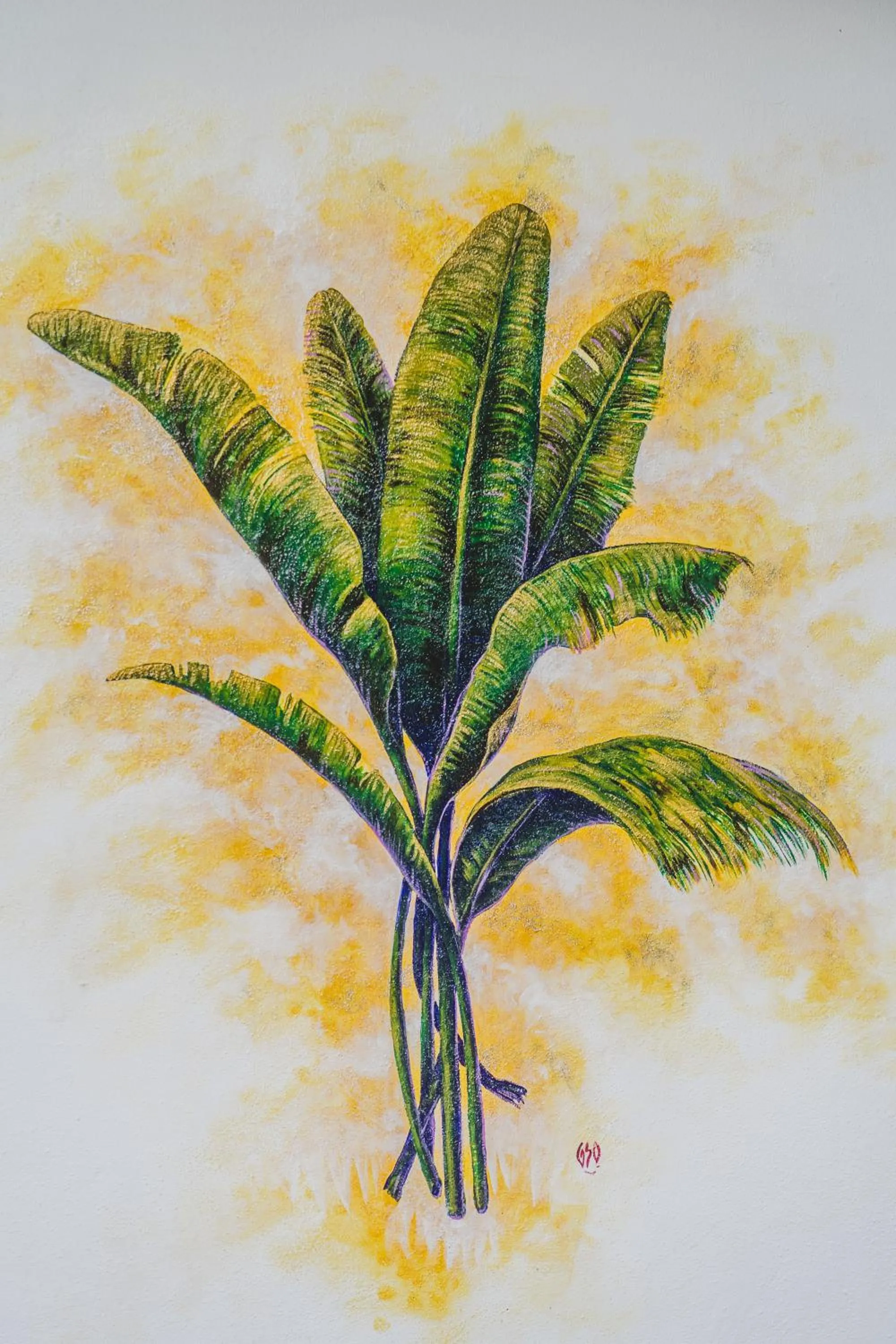 5 Frogs Hotel Bucerias