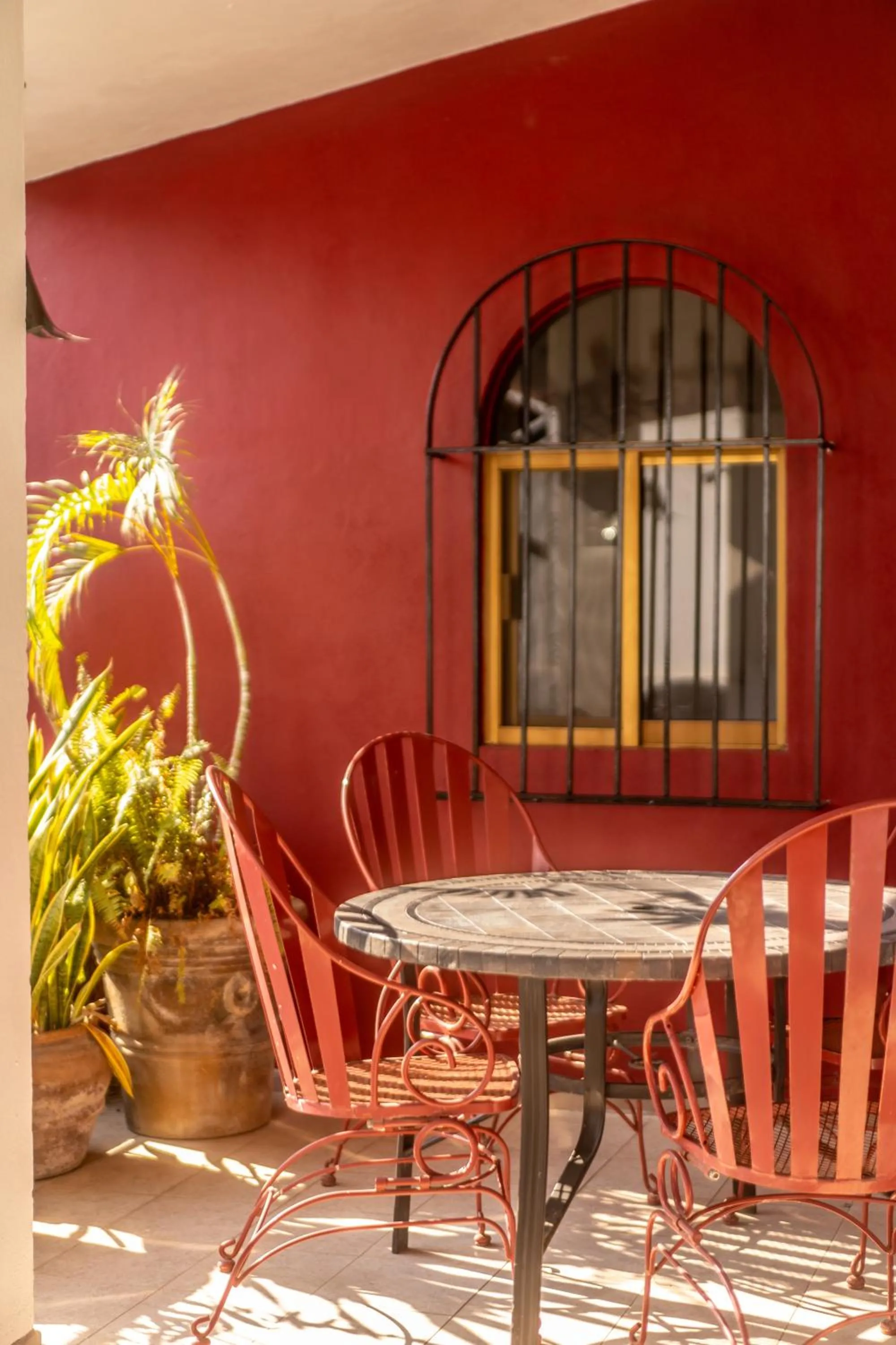 5 Frogs Hotel Bucerias