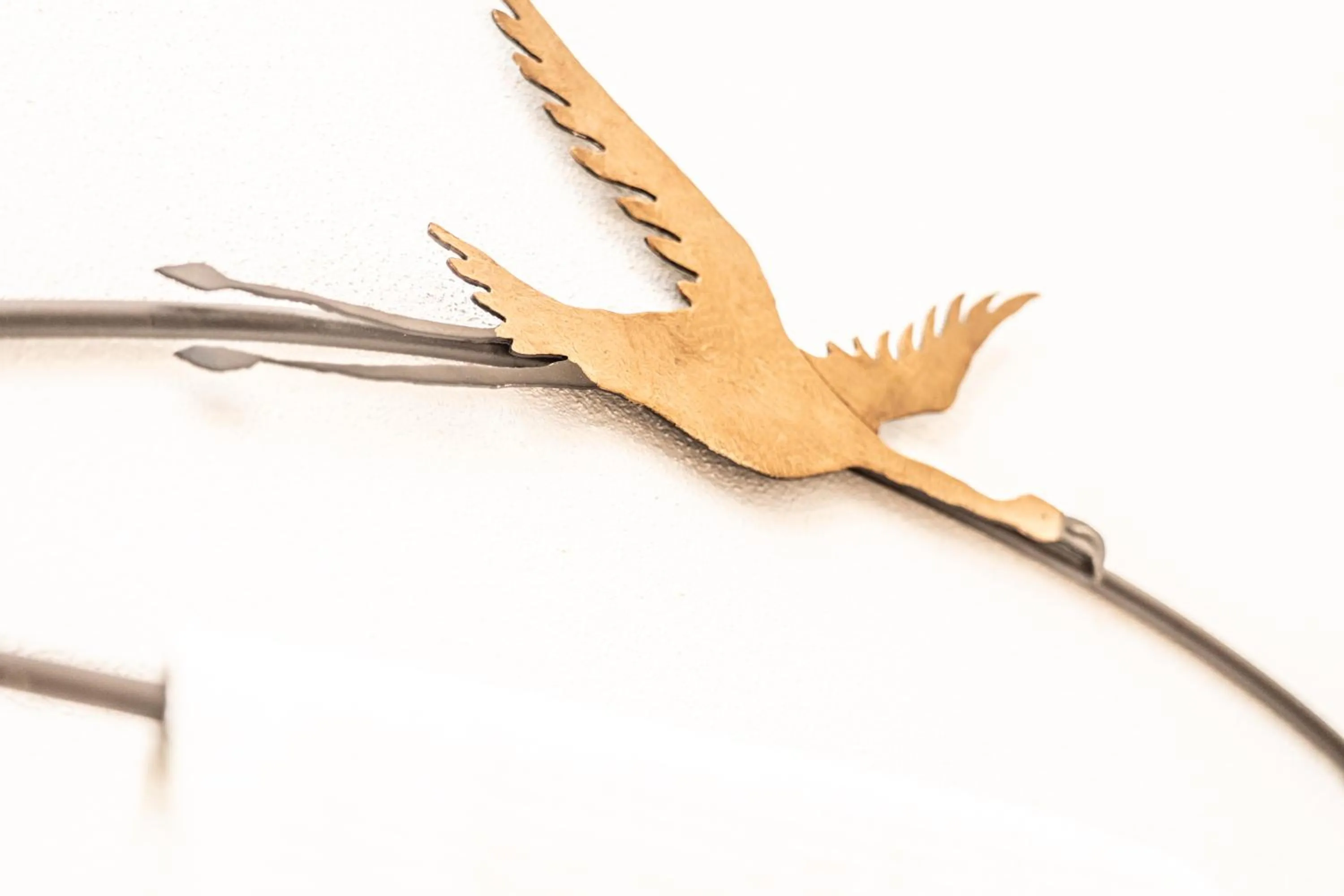 5 Frogs Hotel Bucerias