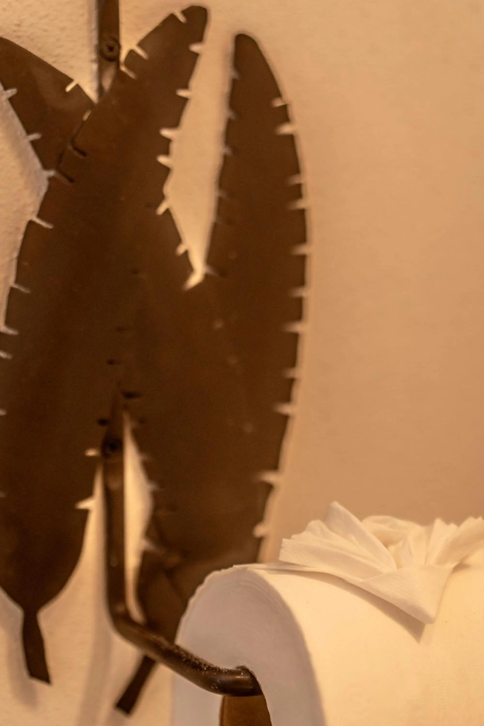 5 Frogs Hotel Bucerias