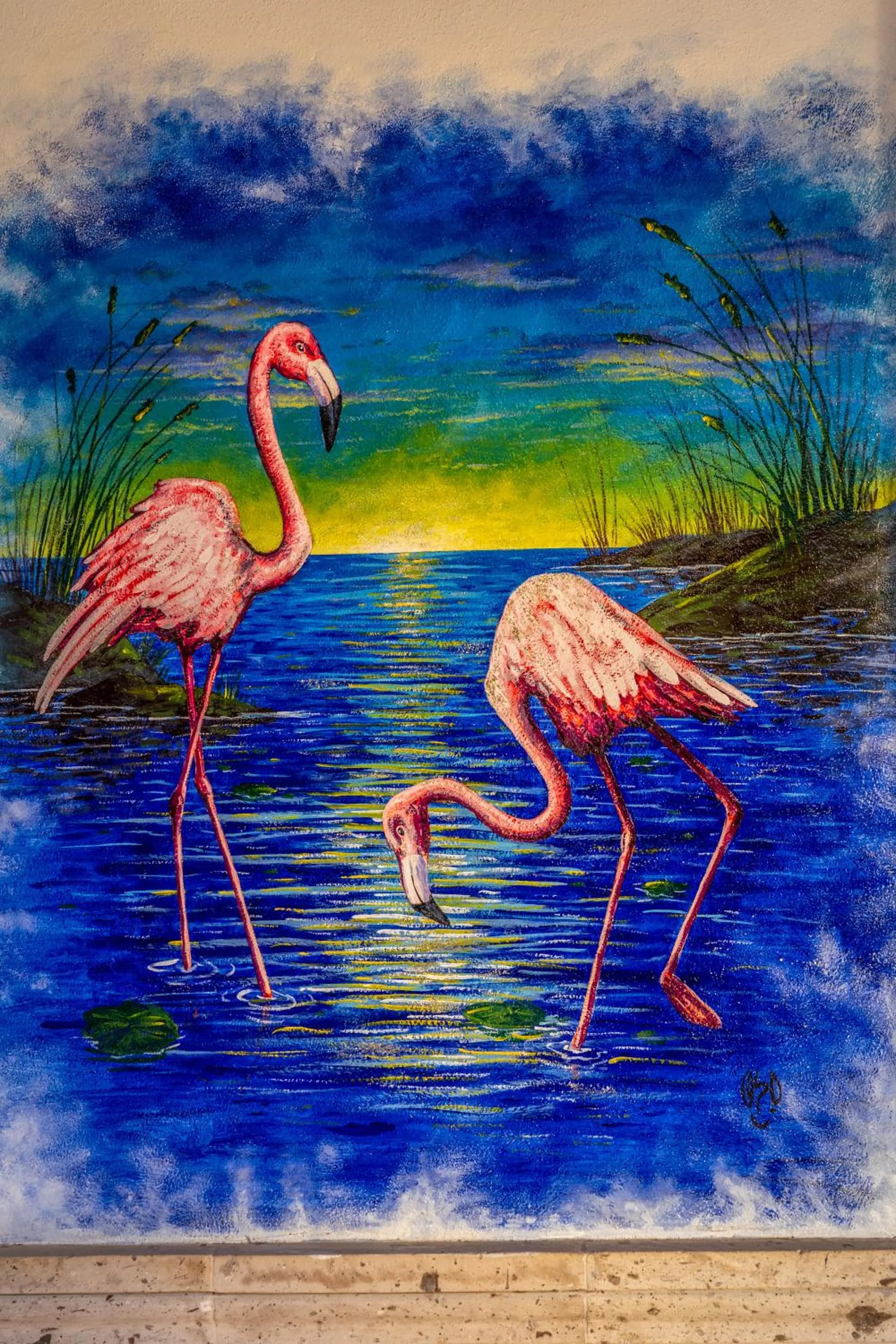 5 Frogs Hotel Bucerias