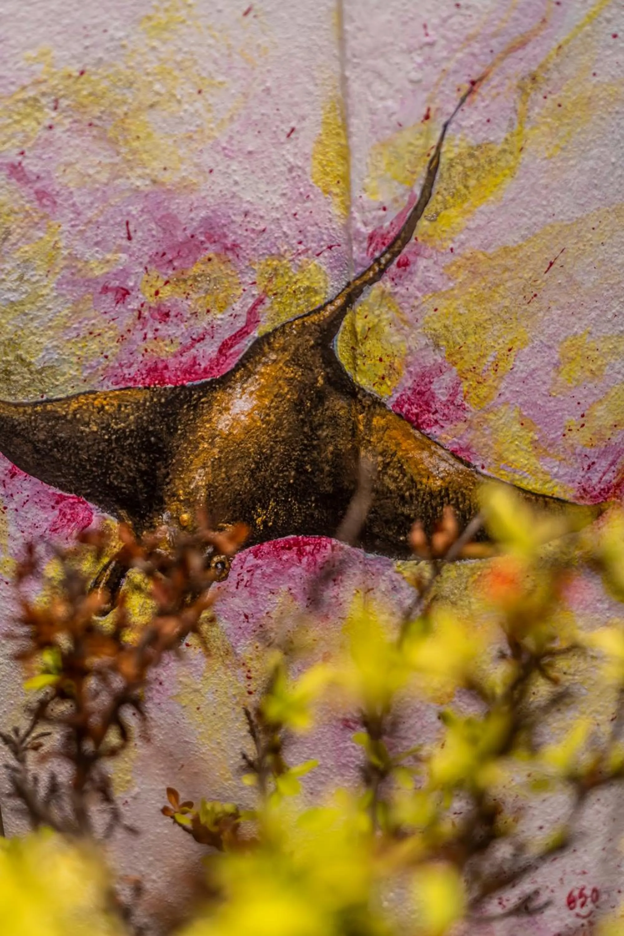 5 Frogs Hotel Bucerias