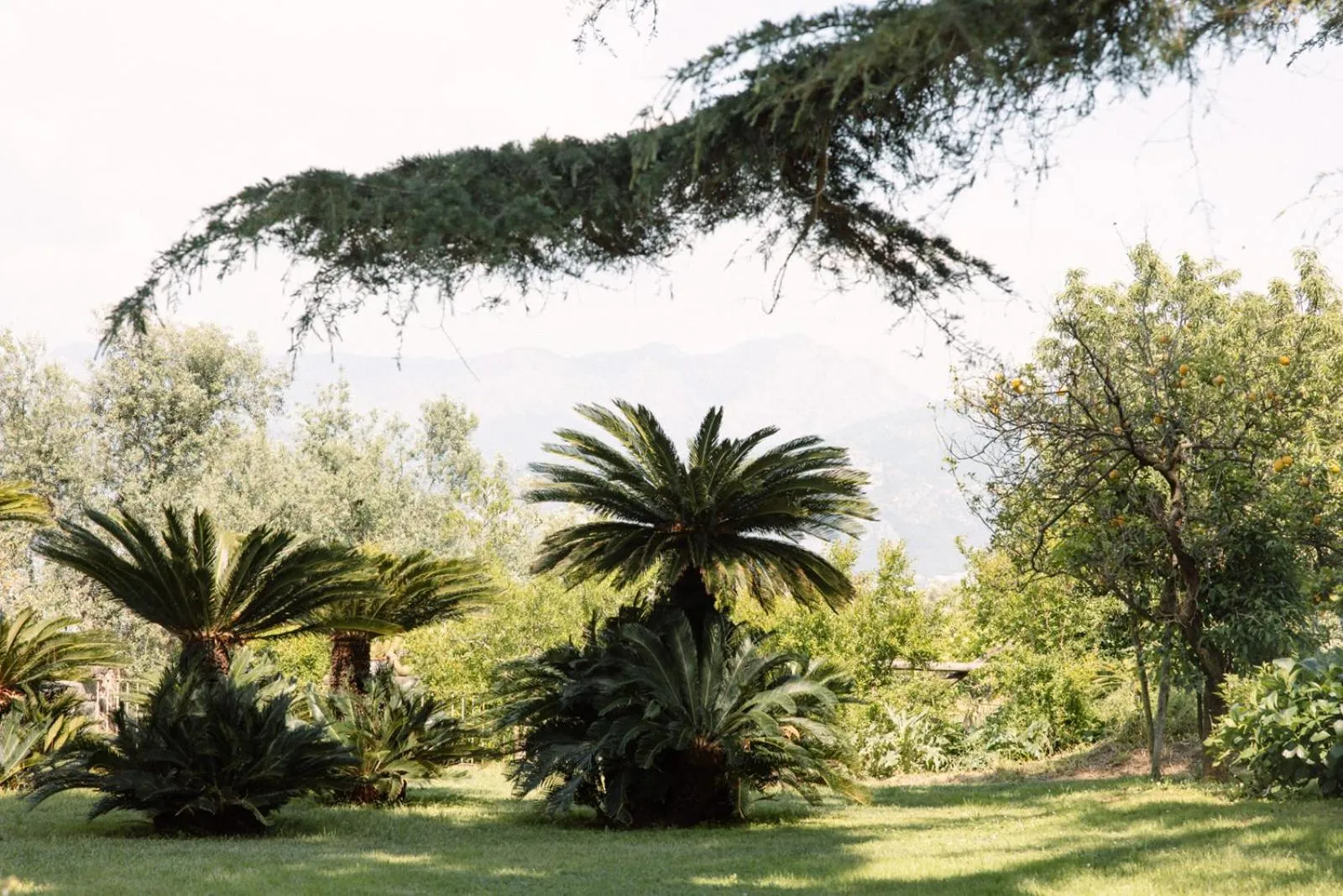 Capo Santa Fortunata