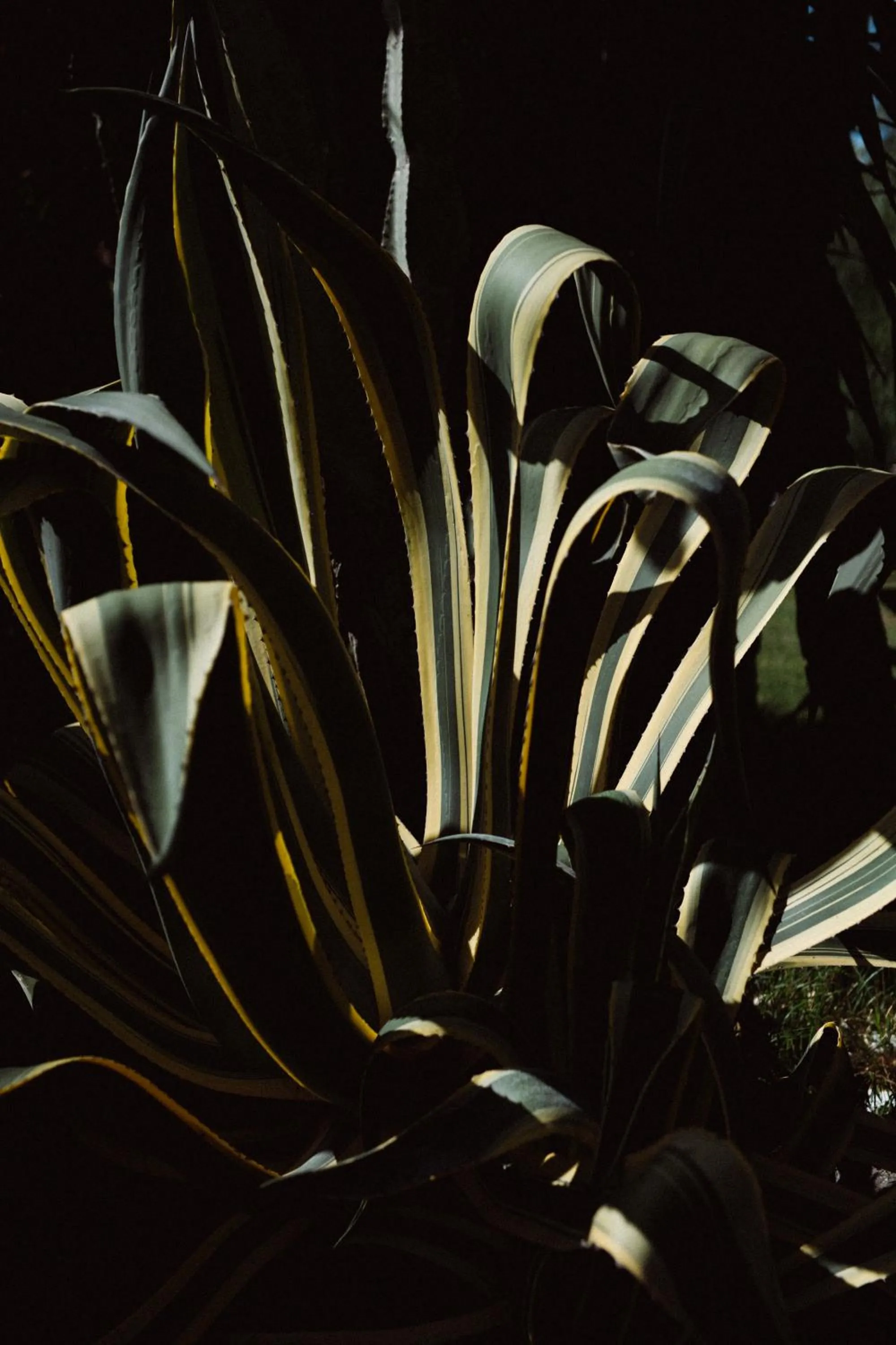 Capo Santa Fortunata