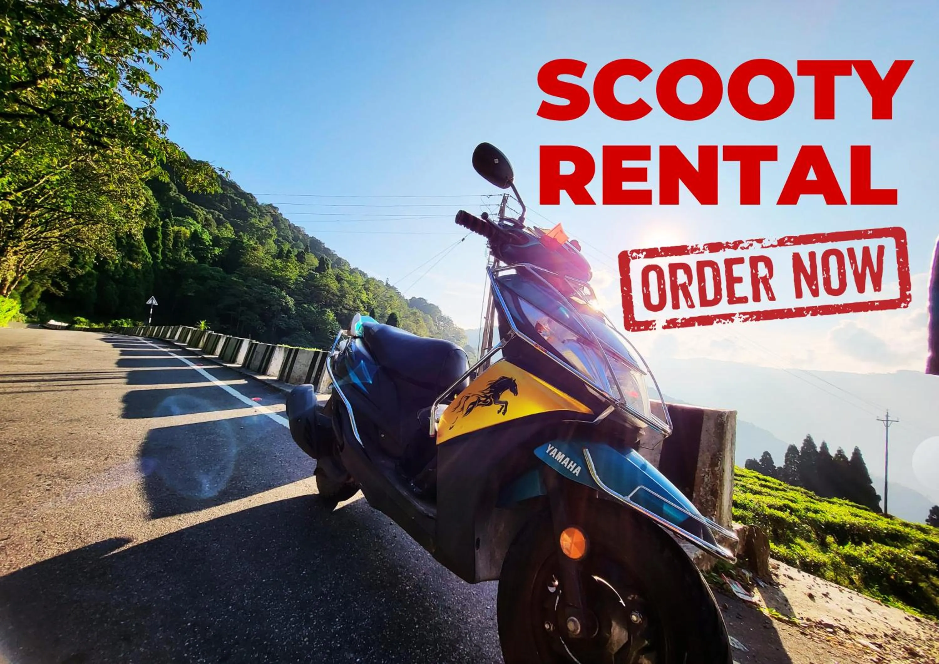 Cycling in The Revett