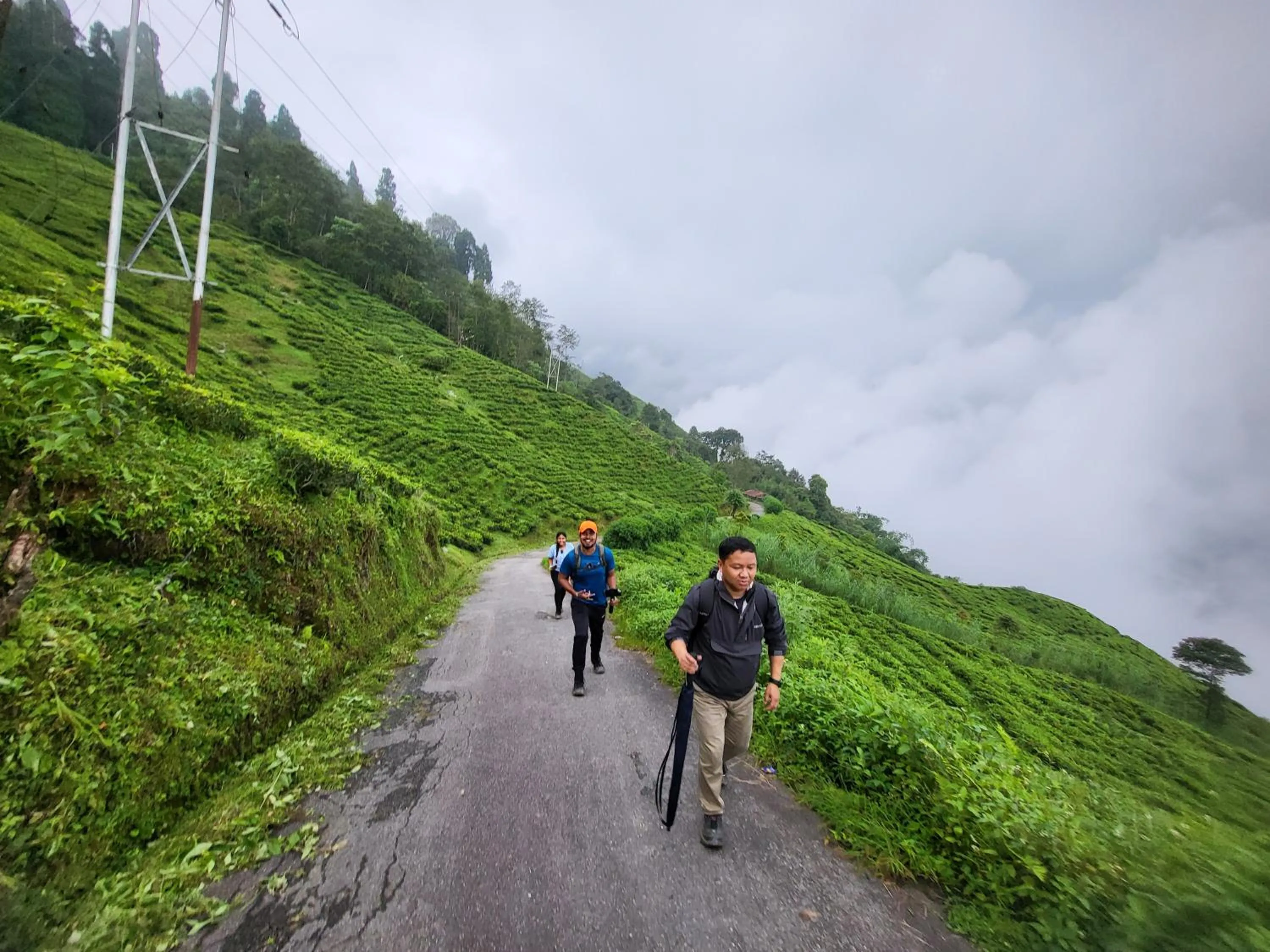 Hiking in The Revett