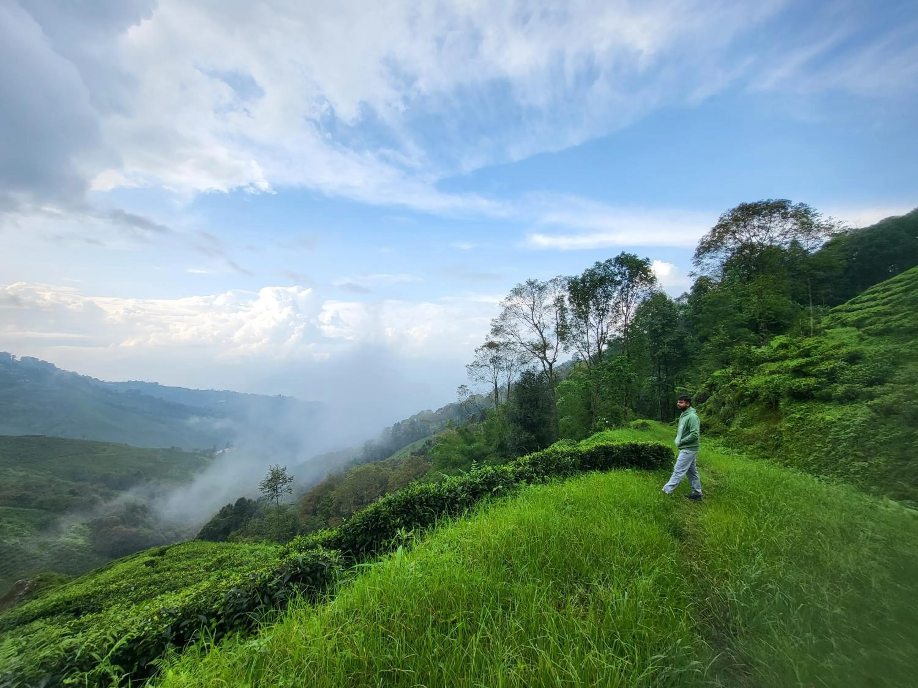 Hiking in The Revett